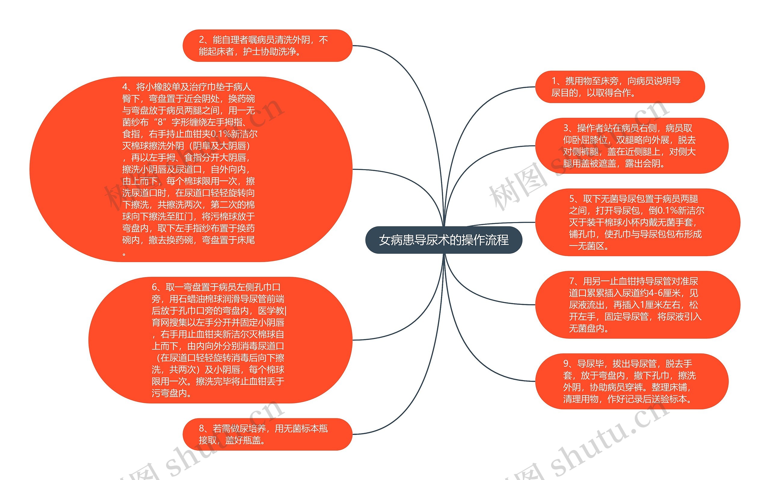 女病患导尿术的操作流程