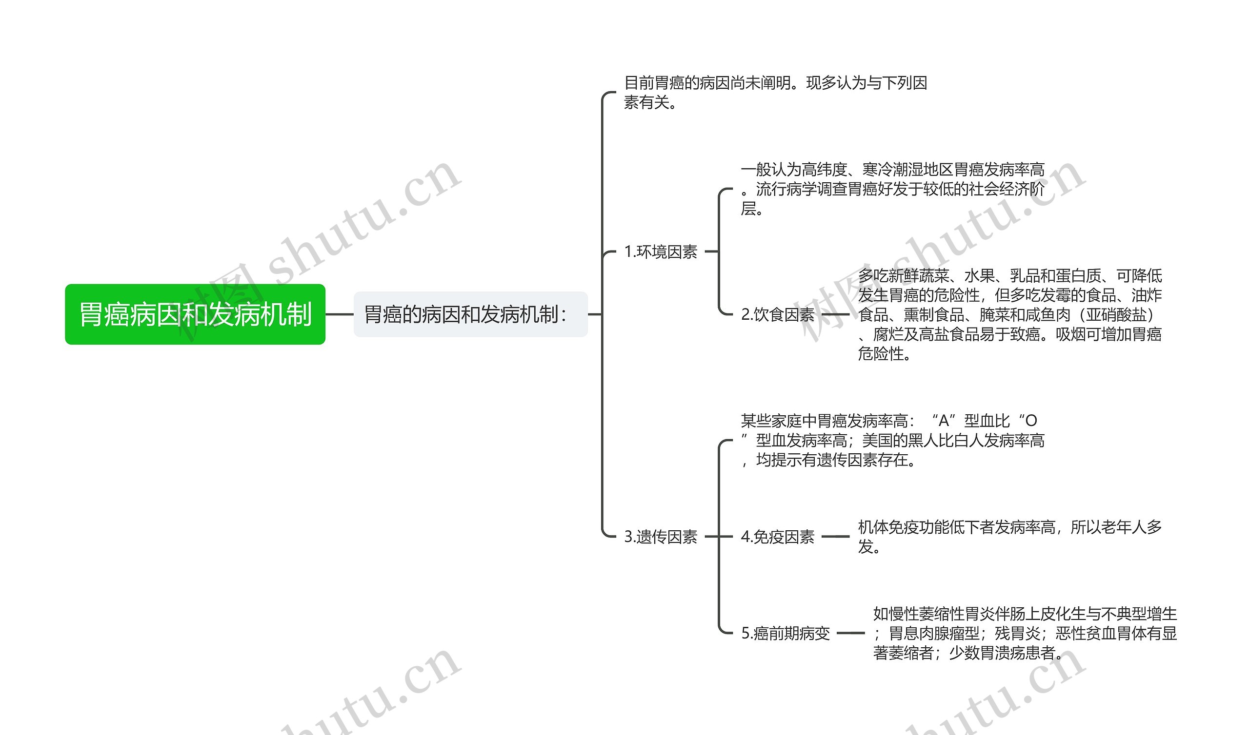 胃癌病因和发病机制