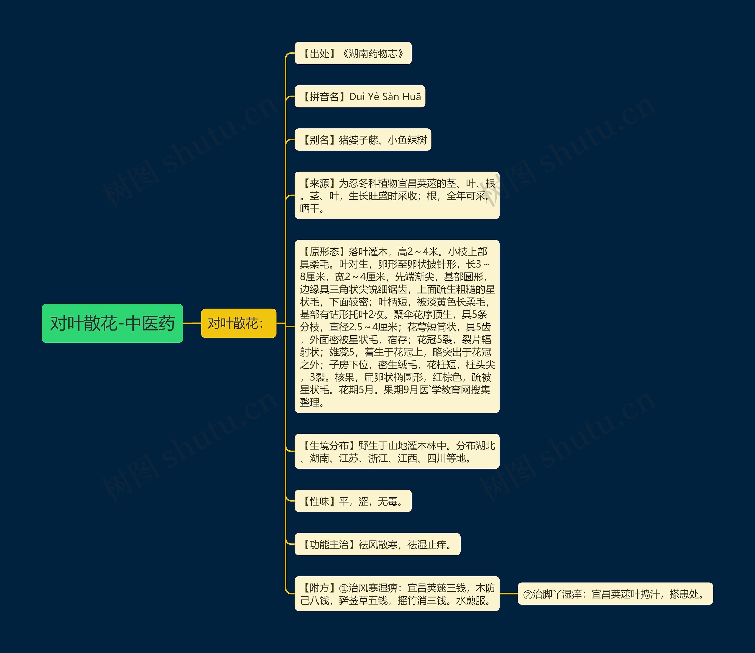 对叶散花-中医药思维导图