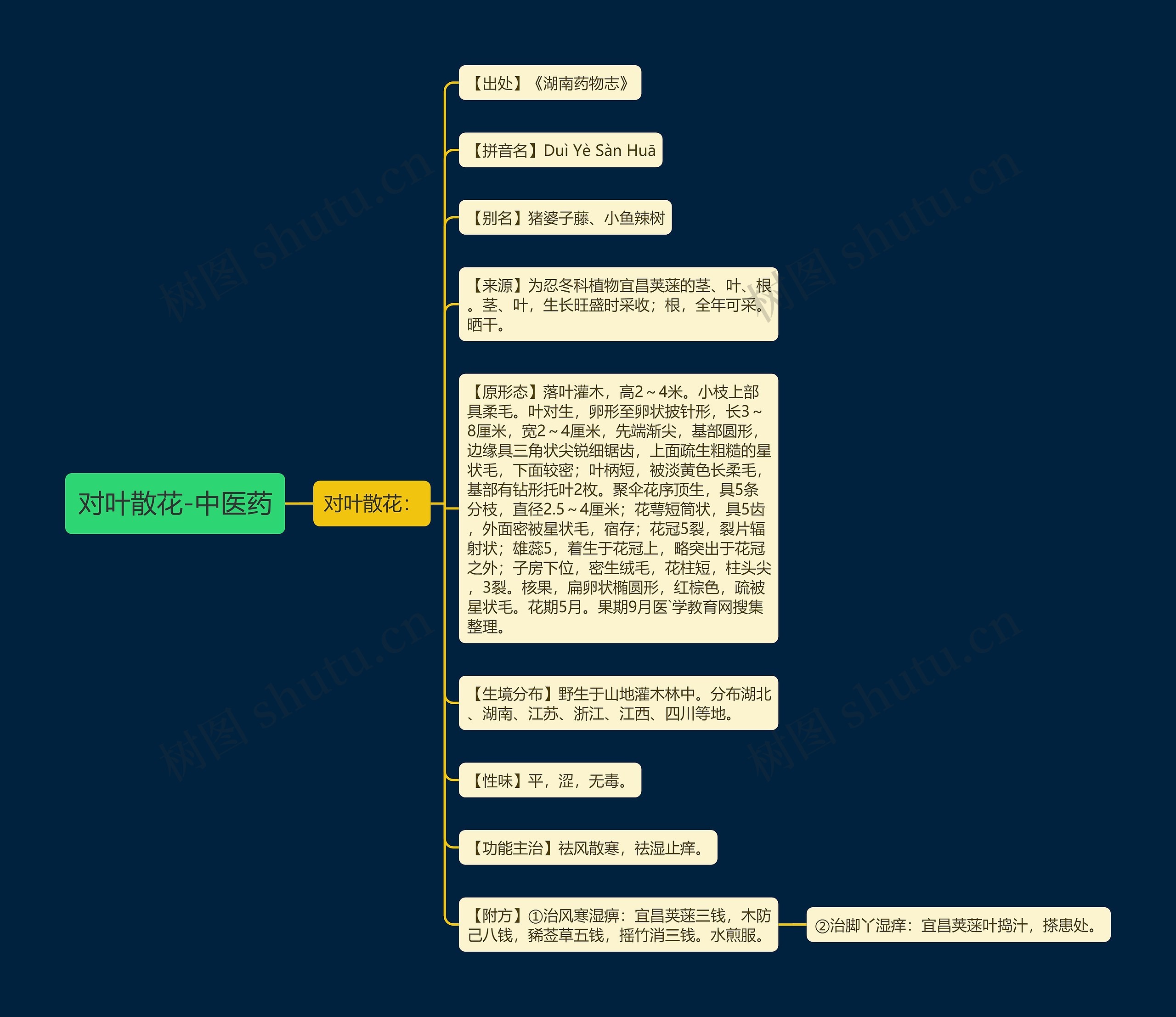 对叶散花-中医药 对叶散花-中医药