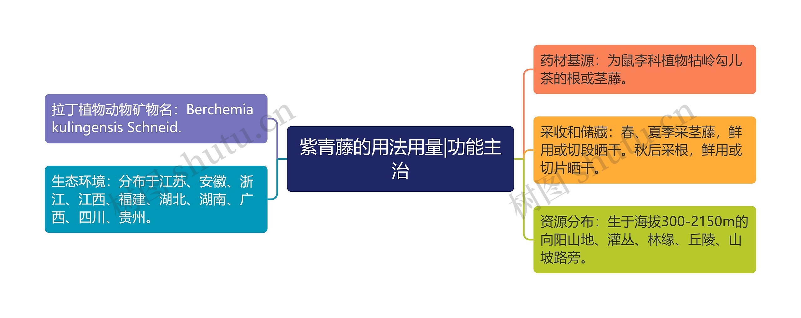 紫青藤的用法用量|功能主治