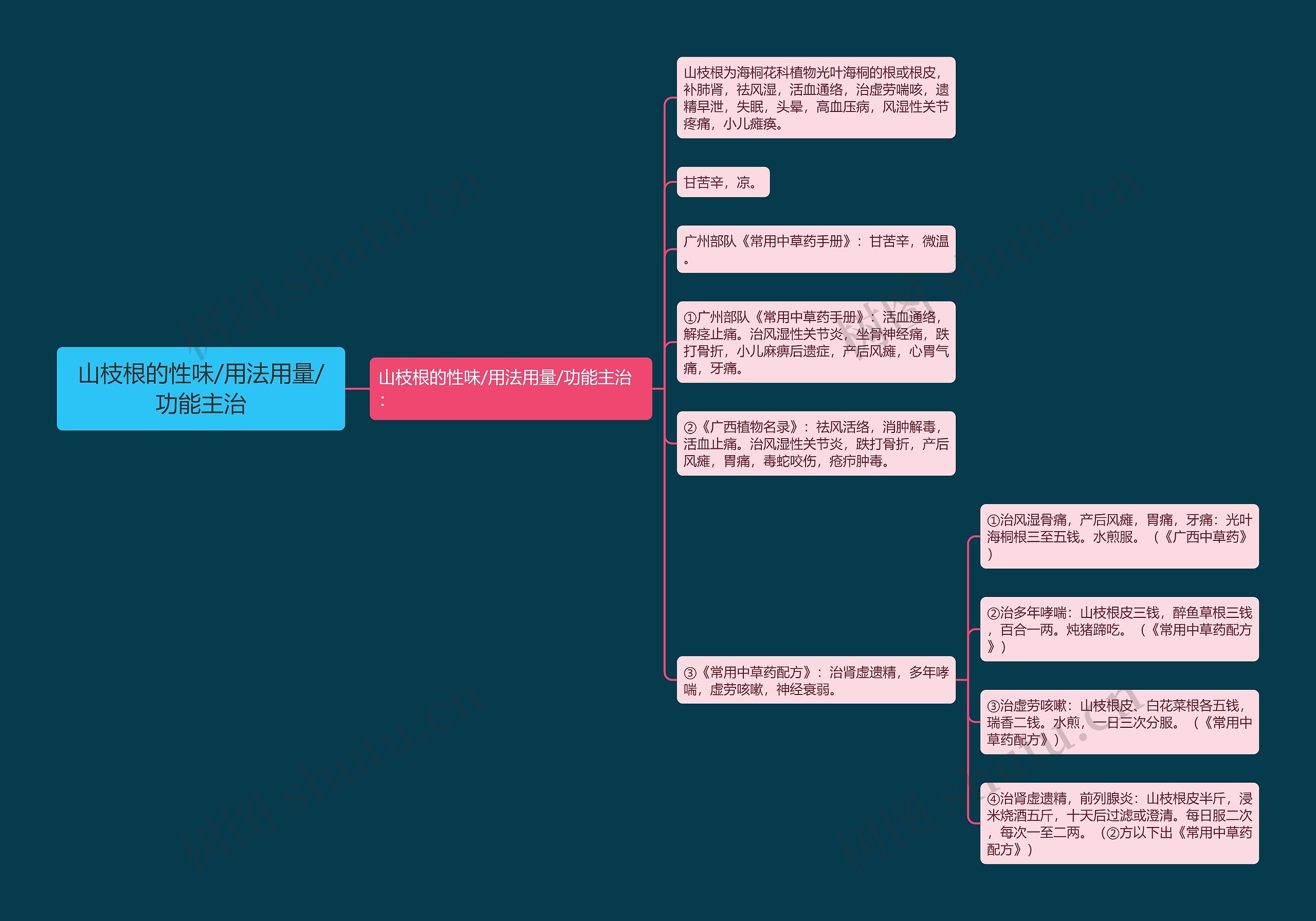 山枝根的性味/用法用量/功能主治思维导图