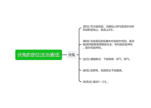 伏兔的定位|主治|配伍