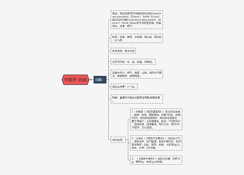 中医药-白前