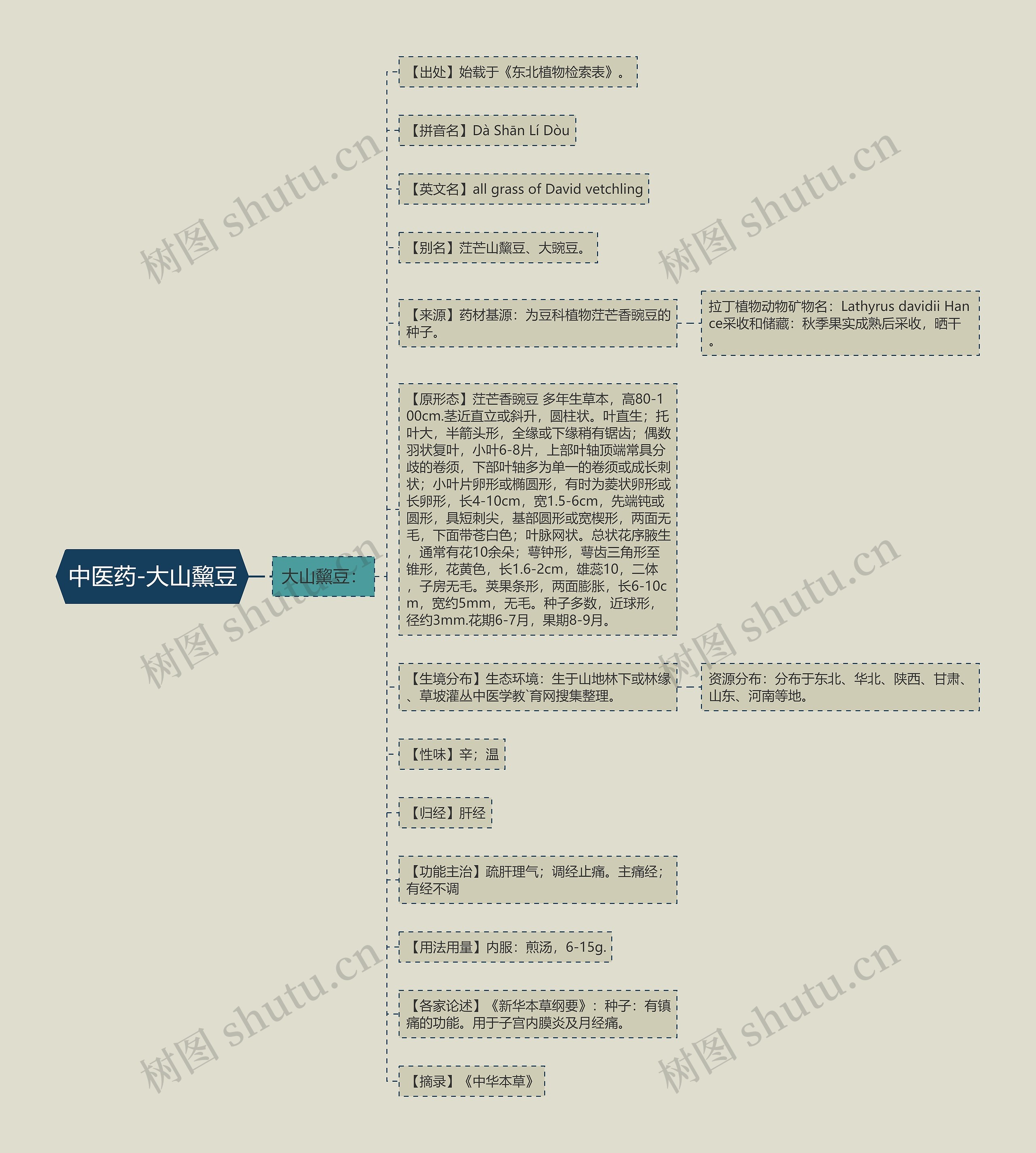 中医药-大山黧豆 中医药-大山黧豆