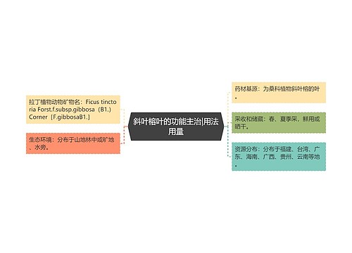 斜叶榕叶的功能主治|用法用量