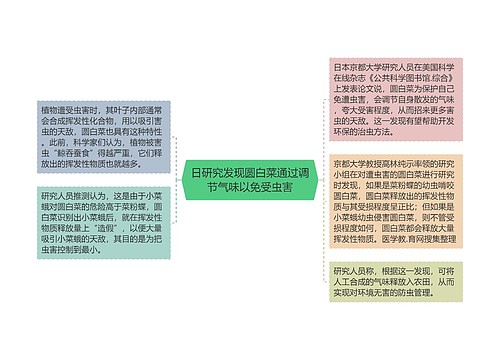 日研究发现圆白菜通过调节气味以免受虫害