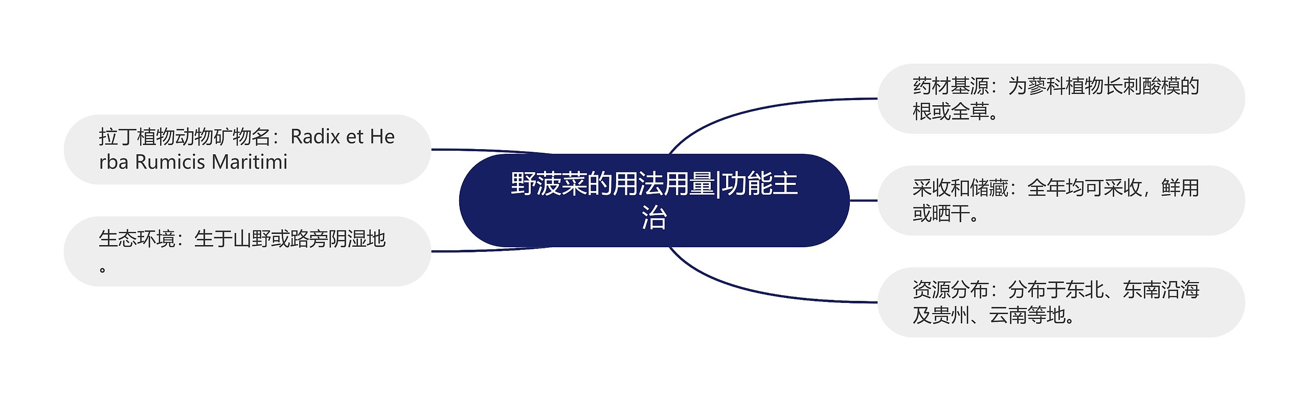 野菠菜的用法用量|功能主治 野菠菜的用法用量|功能主治