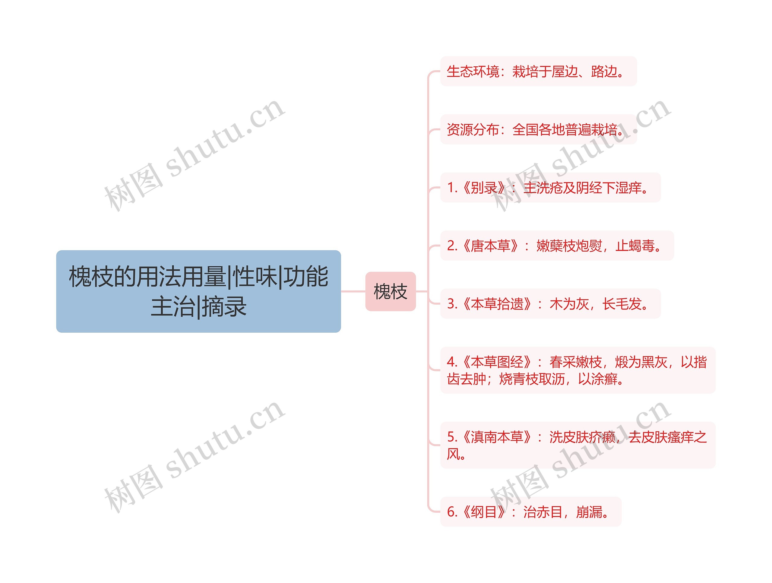 槐枝的用法用量|性味|功能主治|摘录思维导图