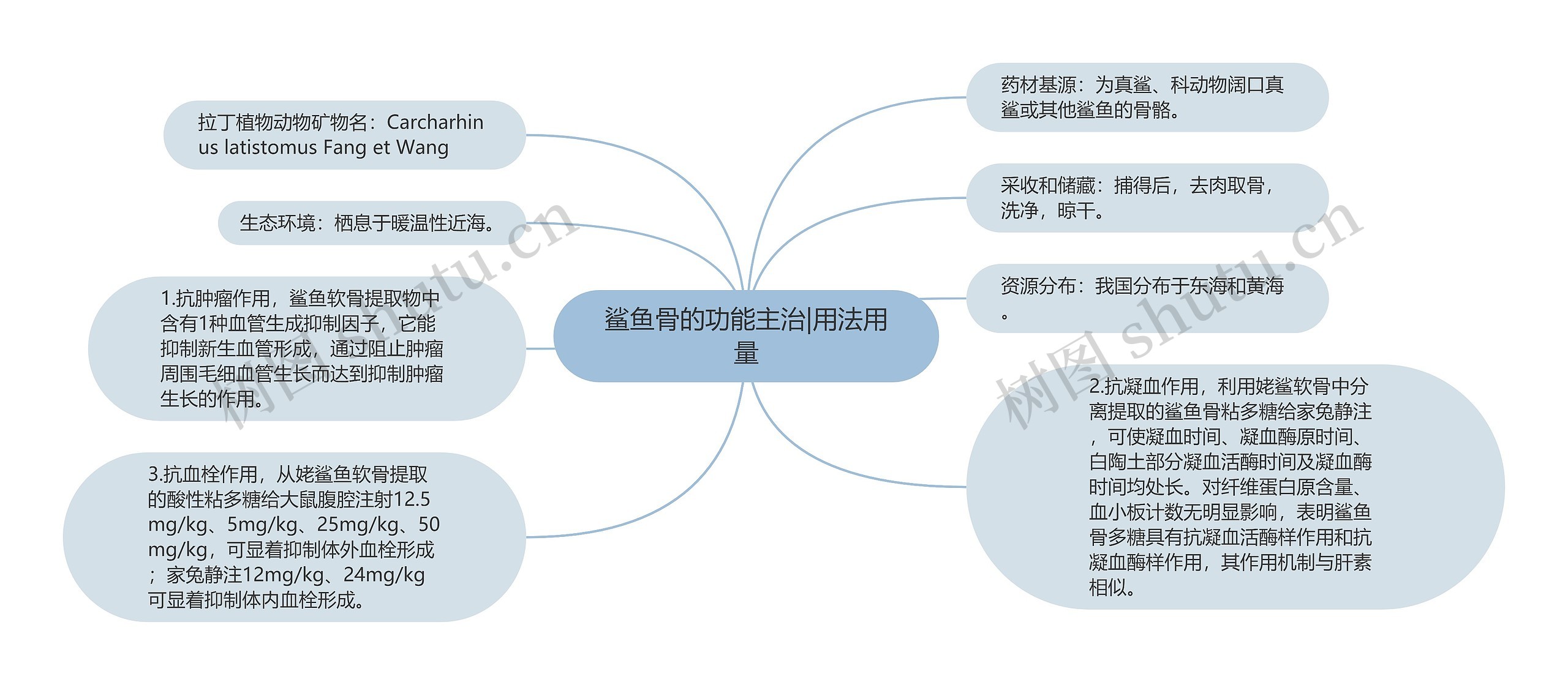 鲨鱼骨的功能主治|用法用量