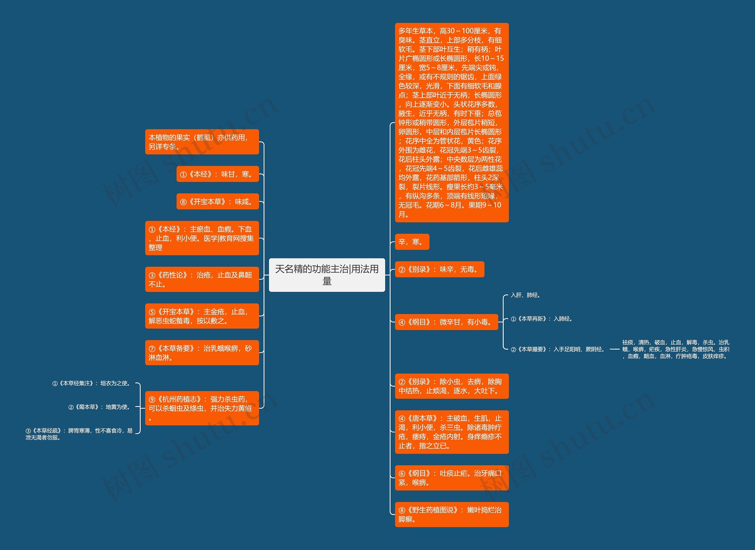 天名精的功能主治|用法用量思维导图