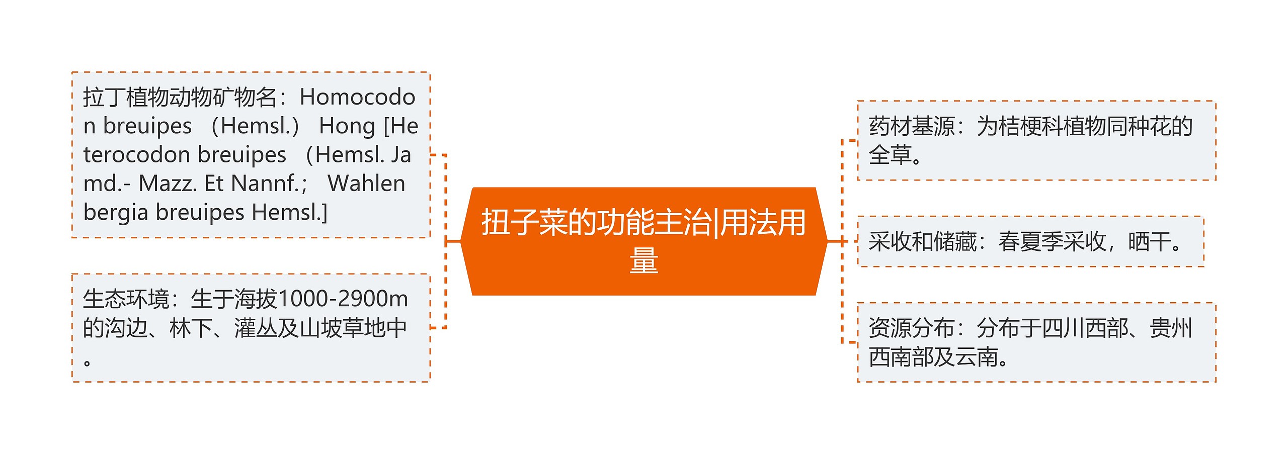 扭子菜的功能主治|用法用量 扭子菜的功能主治|用法用量