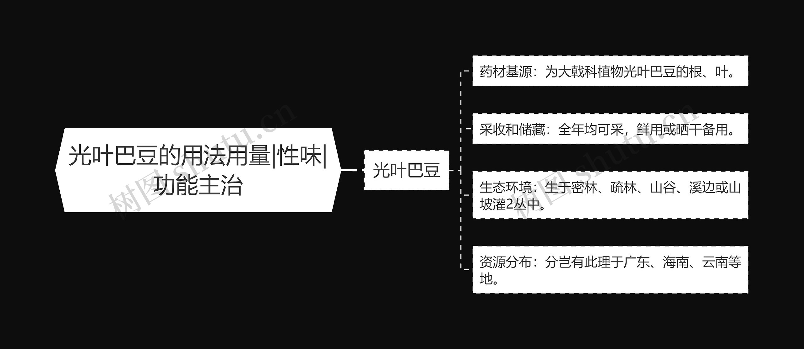 光叶巴豆的用法用量|性味|功能主治