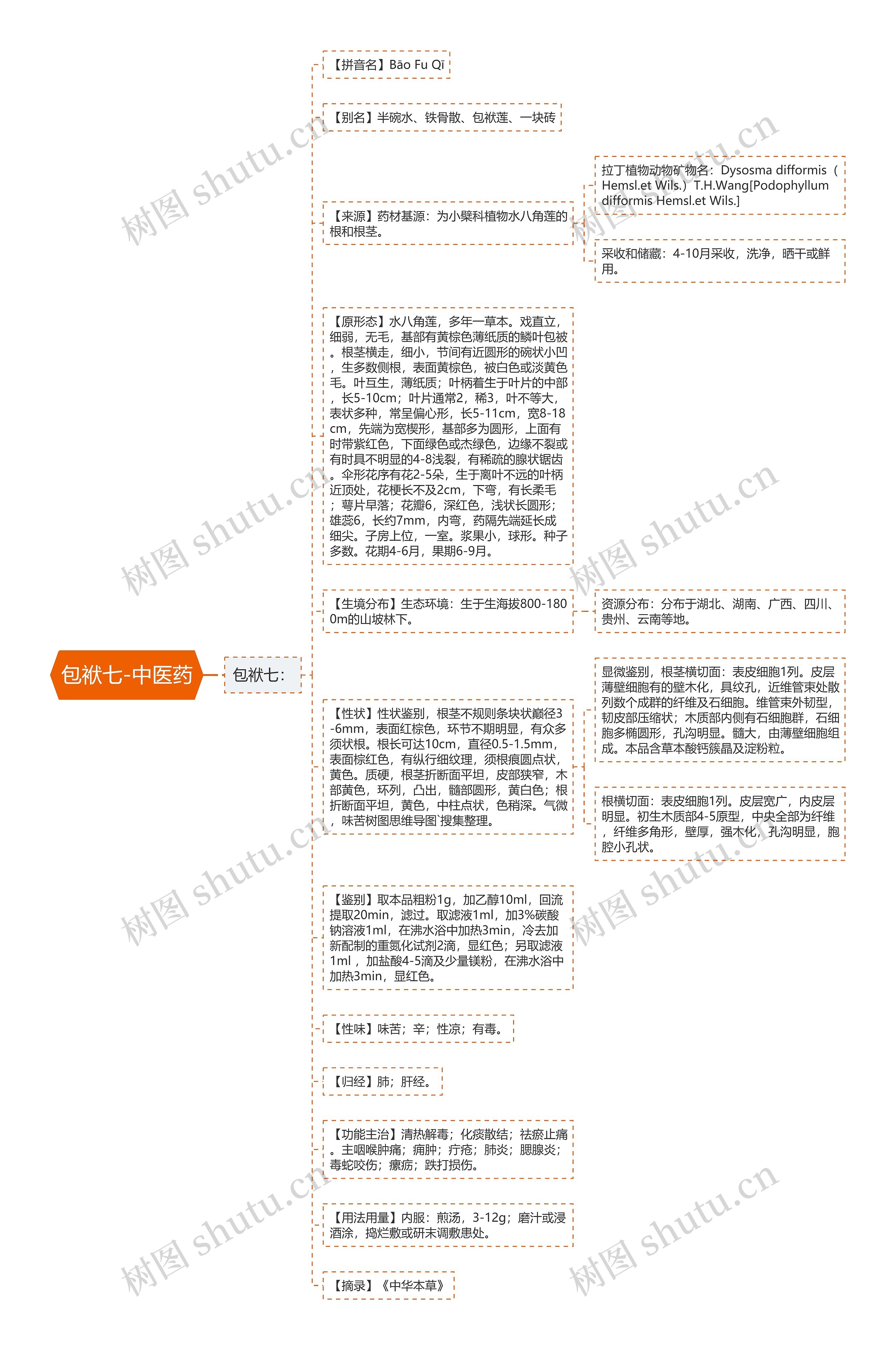 包袱七-中医药思维导图