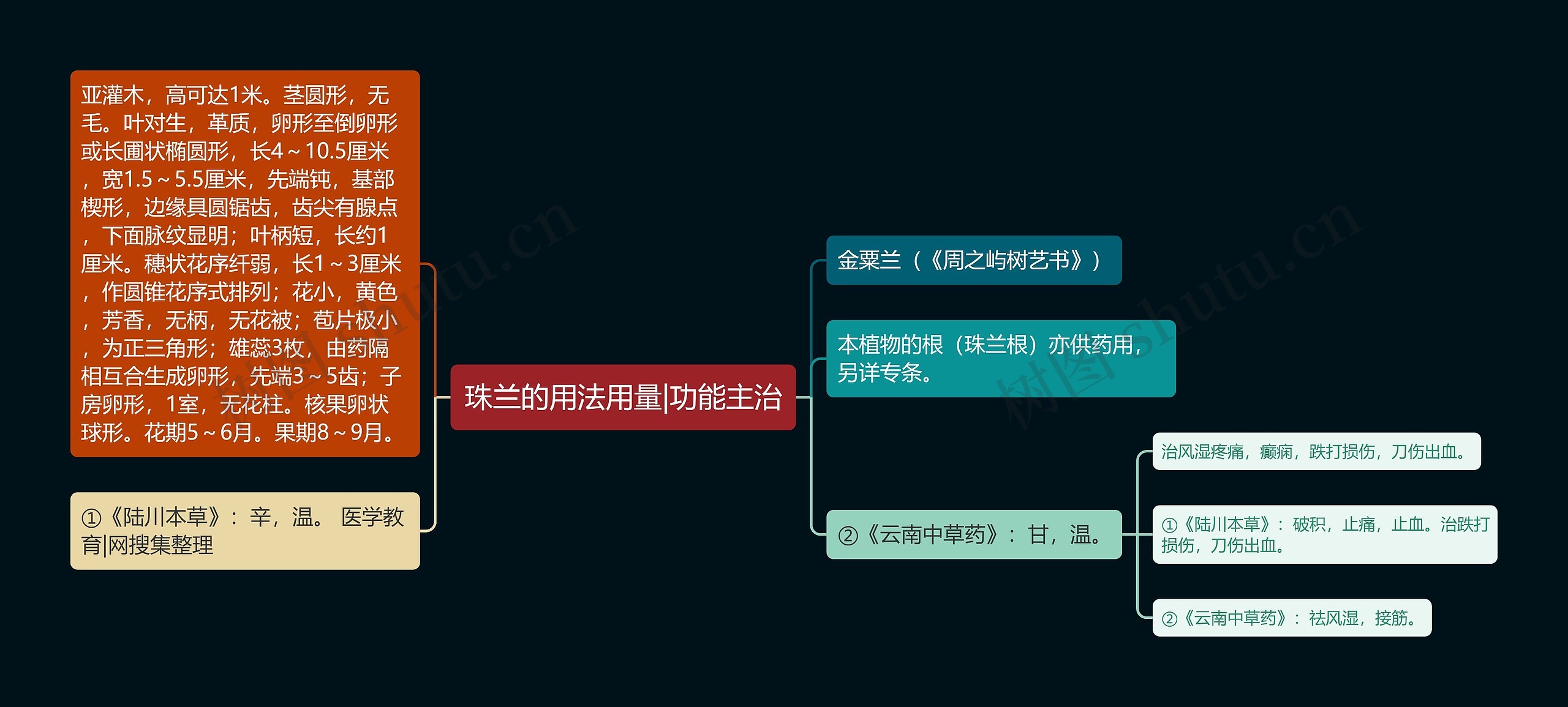珠兰的用法用量|功能主治思维导图