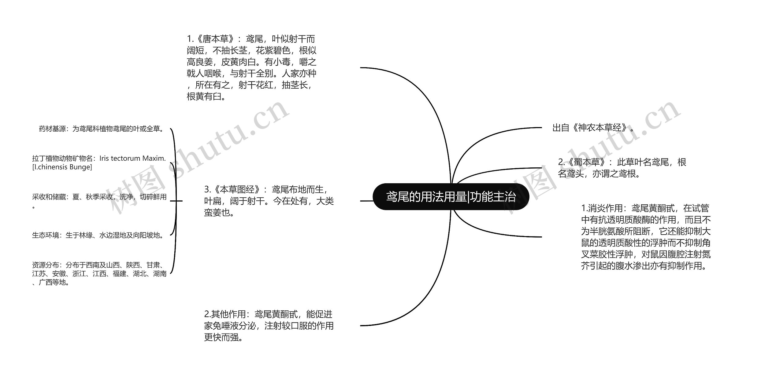 鸢尾的用法用量|功能主治思维导图