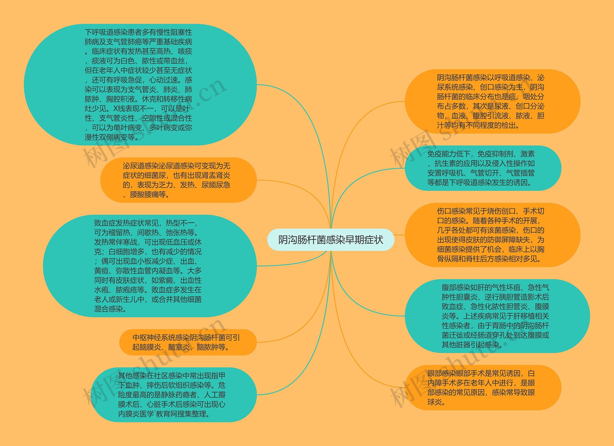 阴沟肠杆菌感染早期症状思维导图