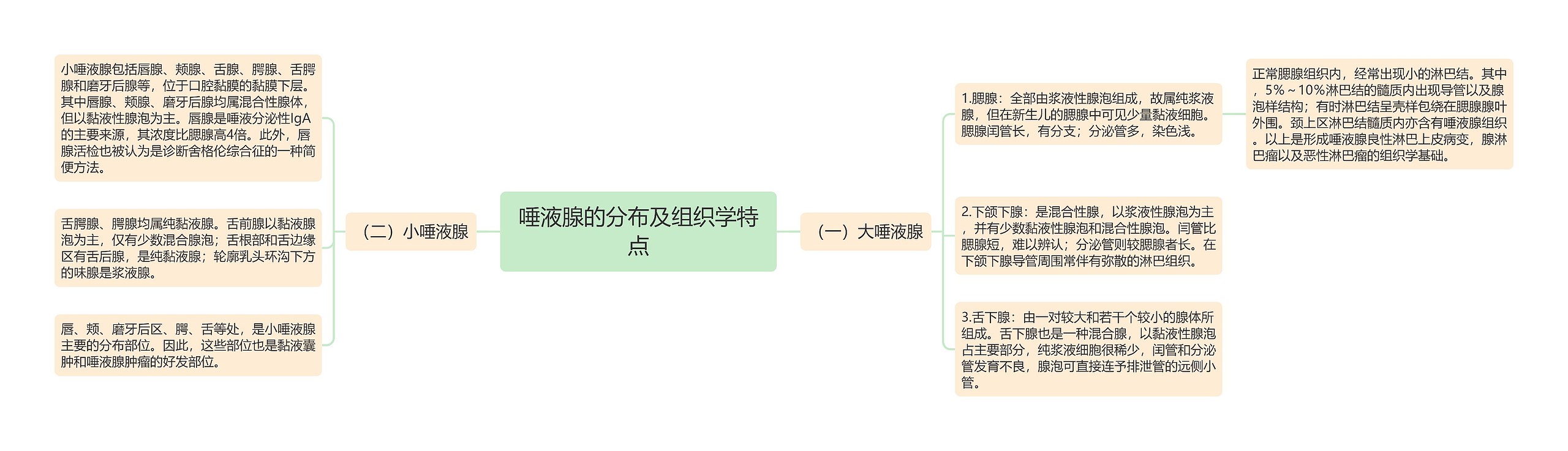 唾液腺的分布及组织学特点思维导图