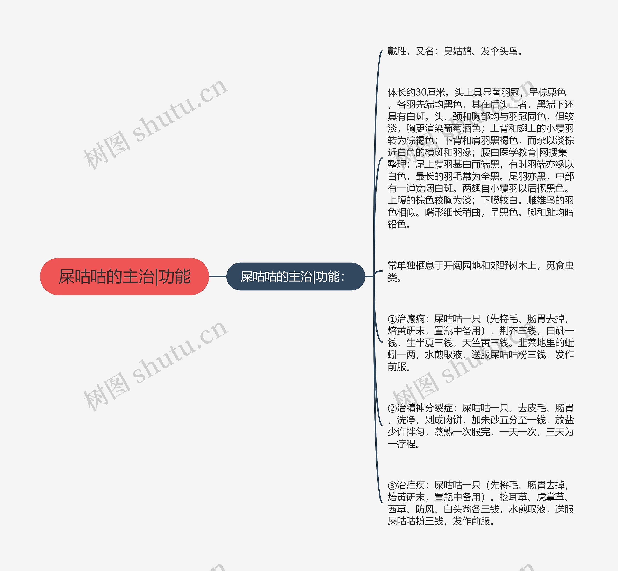 屎咕咕的主治|功能思维导图