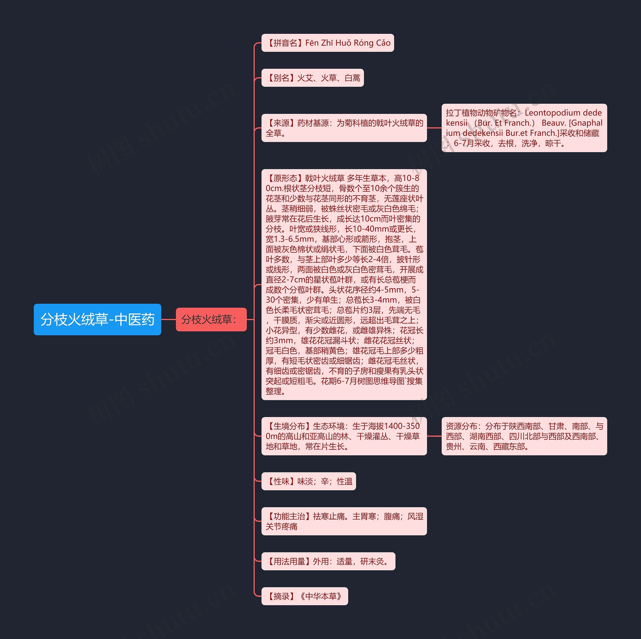 分枝火绒草-中医药 分枝火绒草-中医药