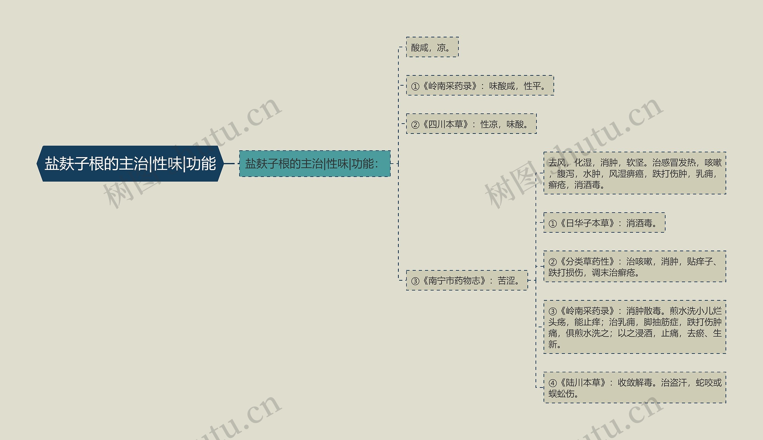 盐麸子根的主治|性味|功能思维导图