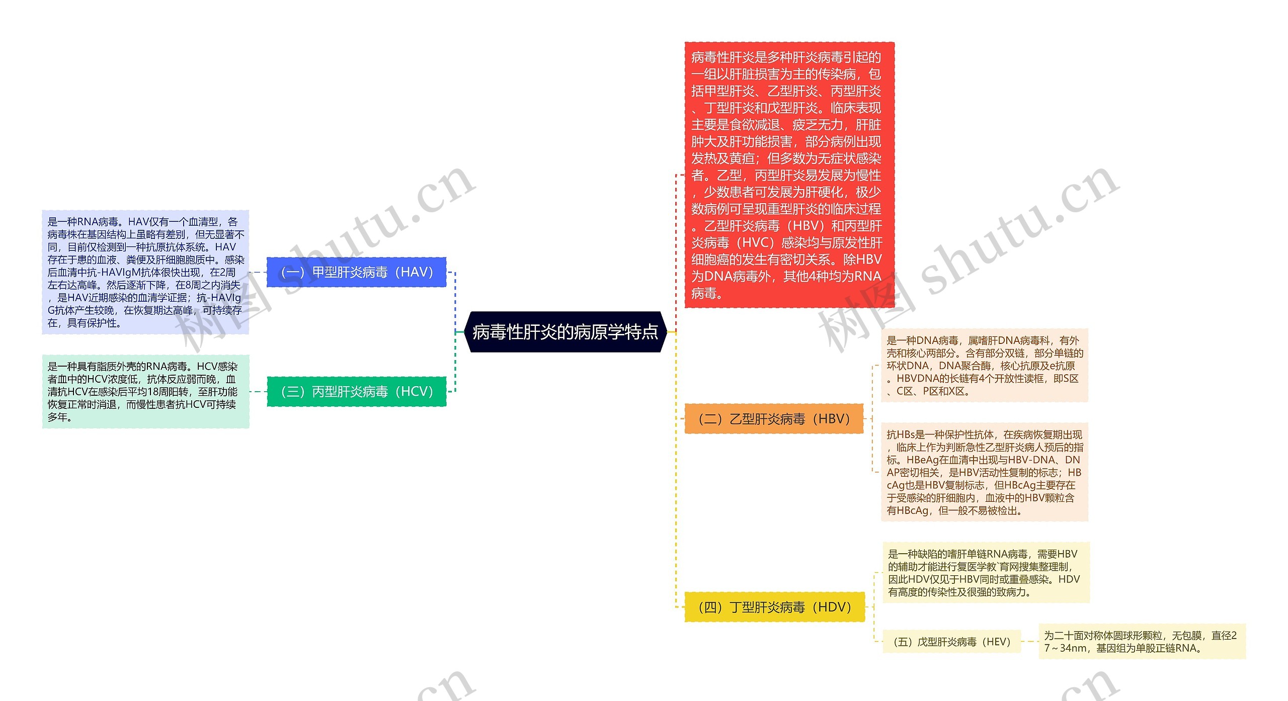 病毒性肝炎的病原学特点思维导图