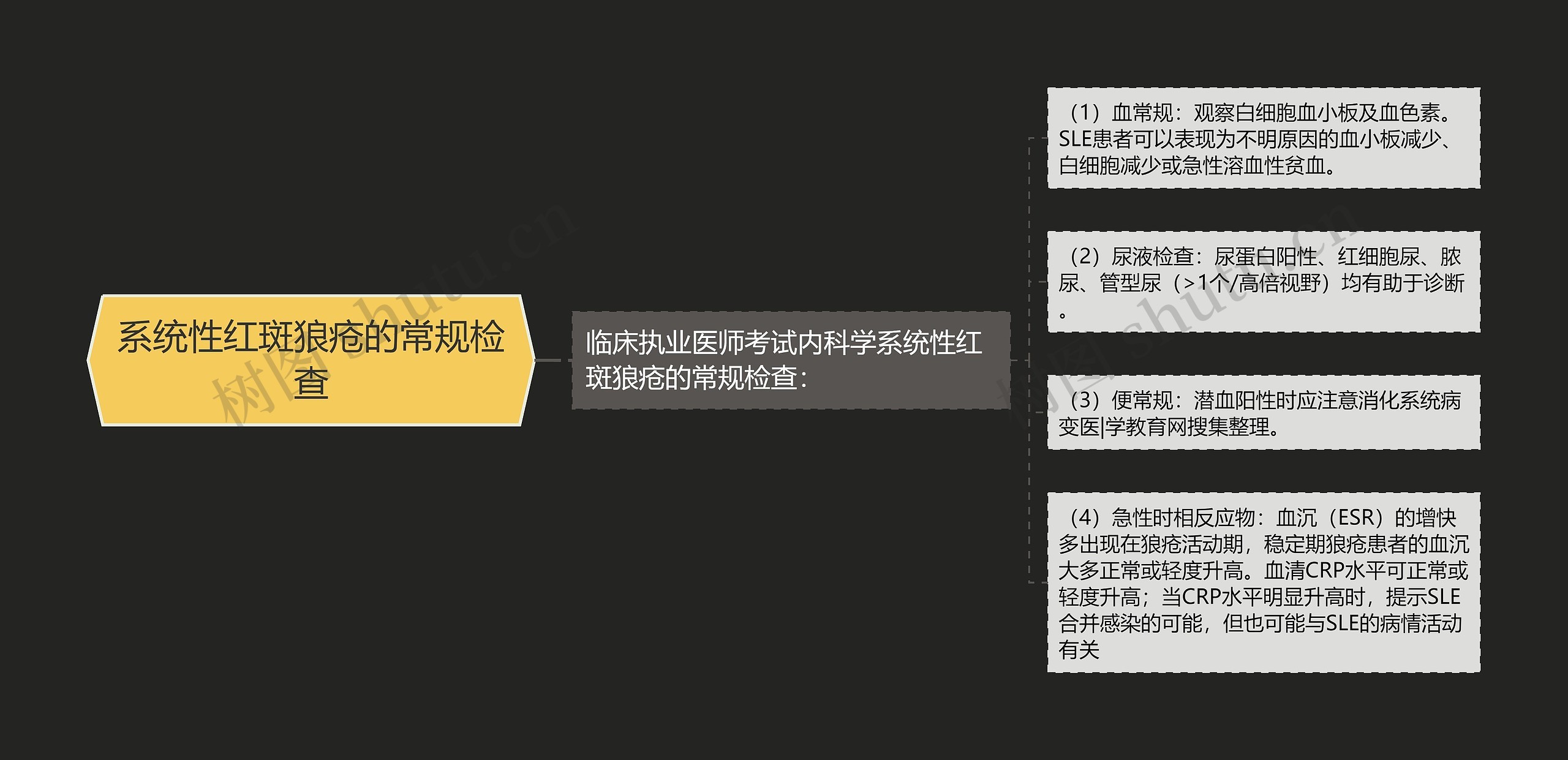 系统性红斑狼疮的常规检查思维导图