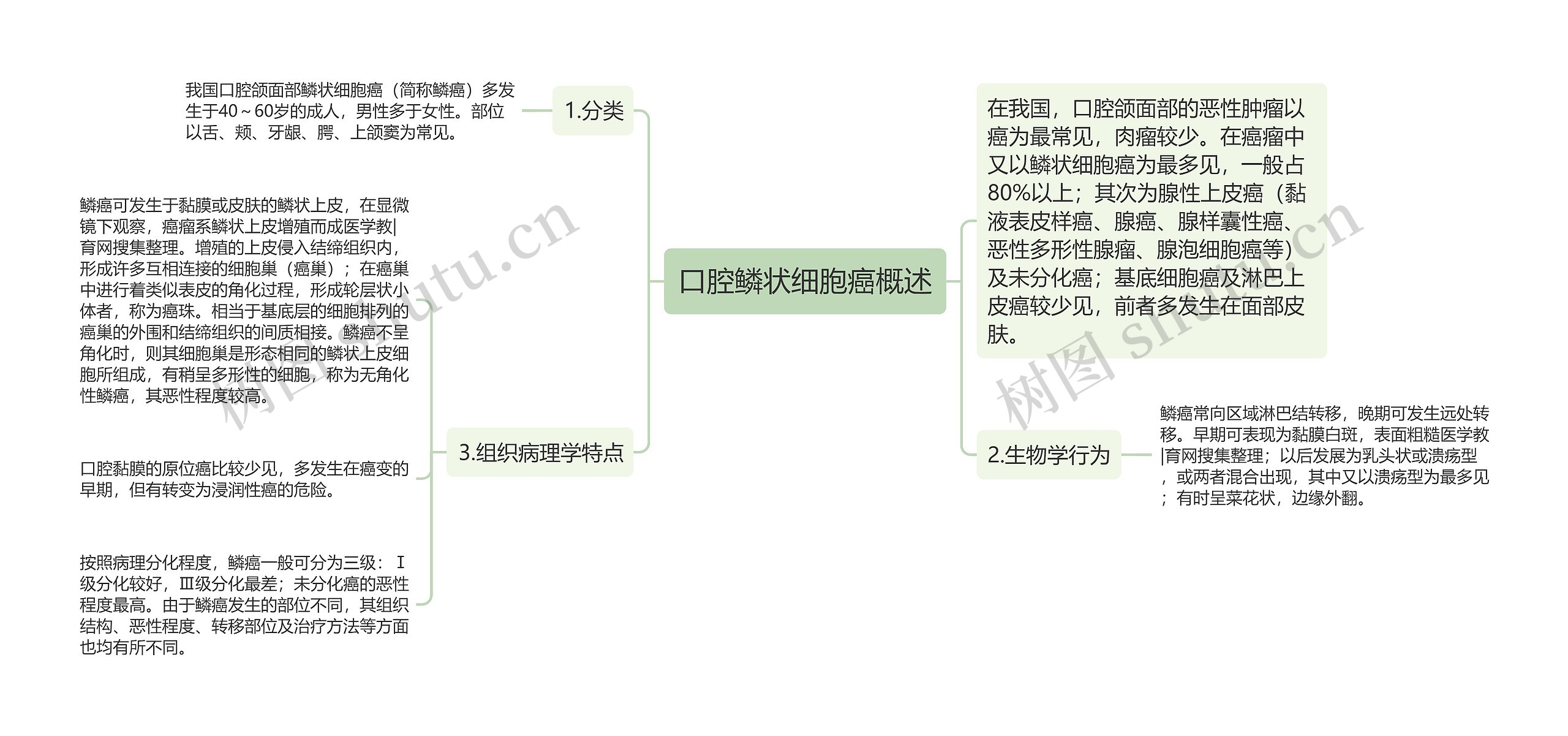 口腔鳞状细胞癌概述思维导图