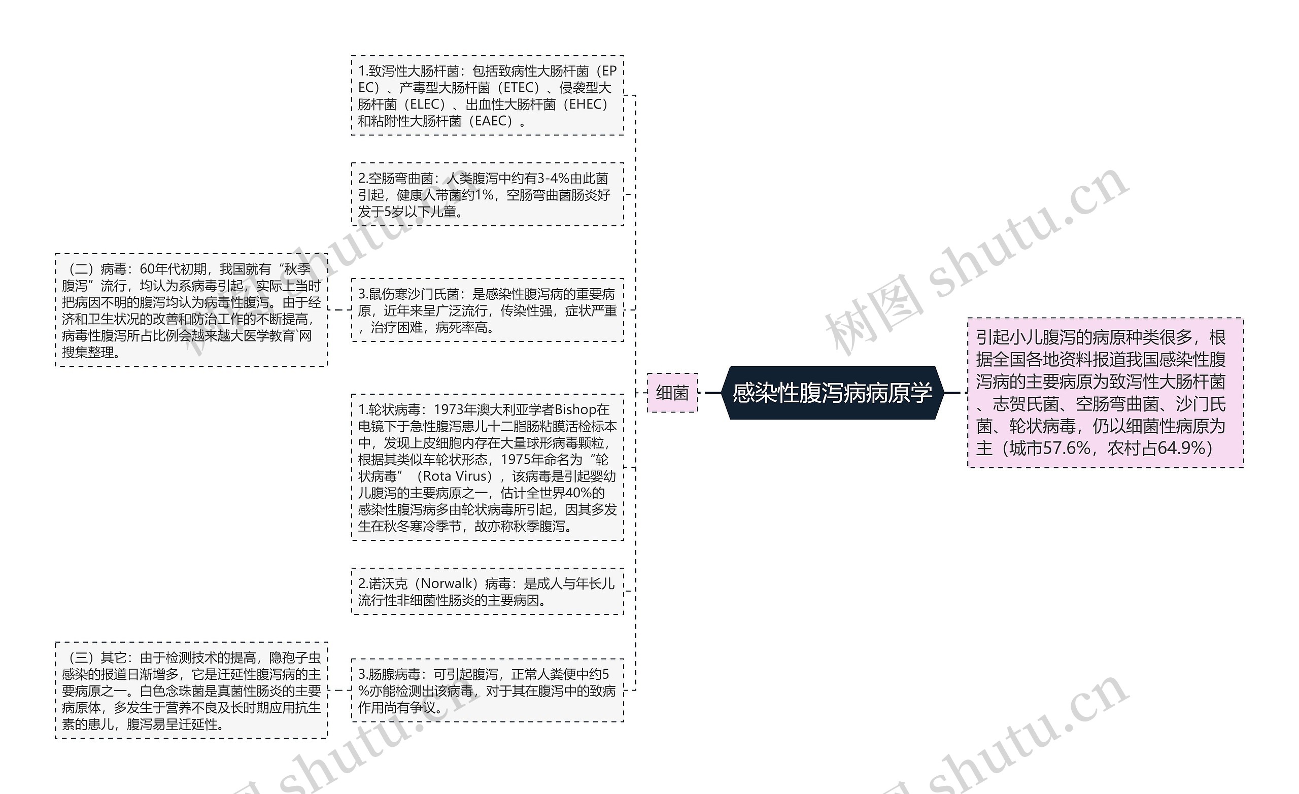 感染性腹泻病病原学思维导图