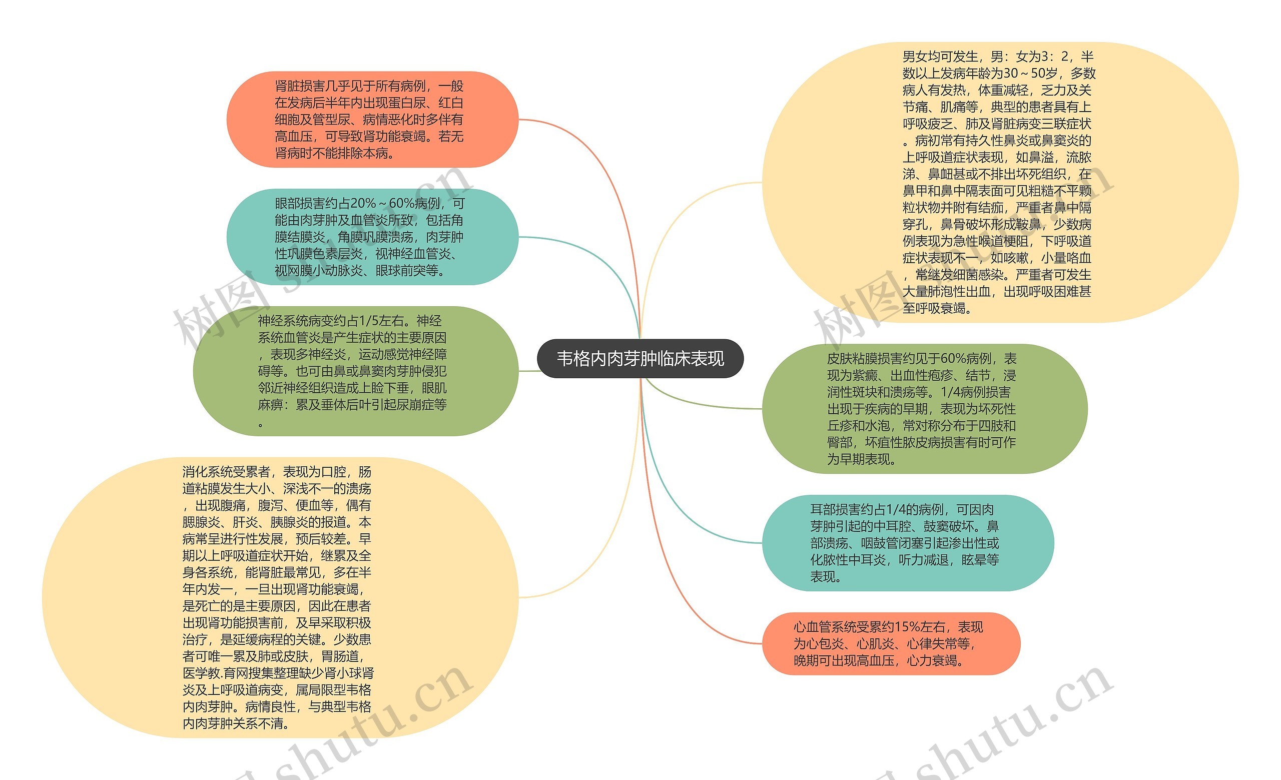 韦格内肉芽肿临床表现思维导图