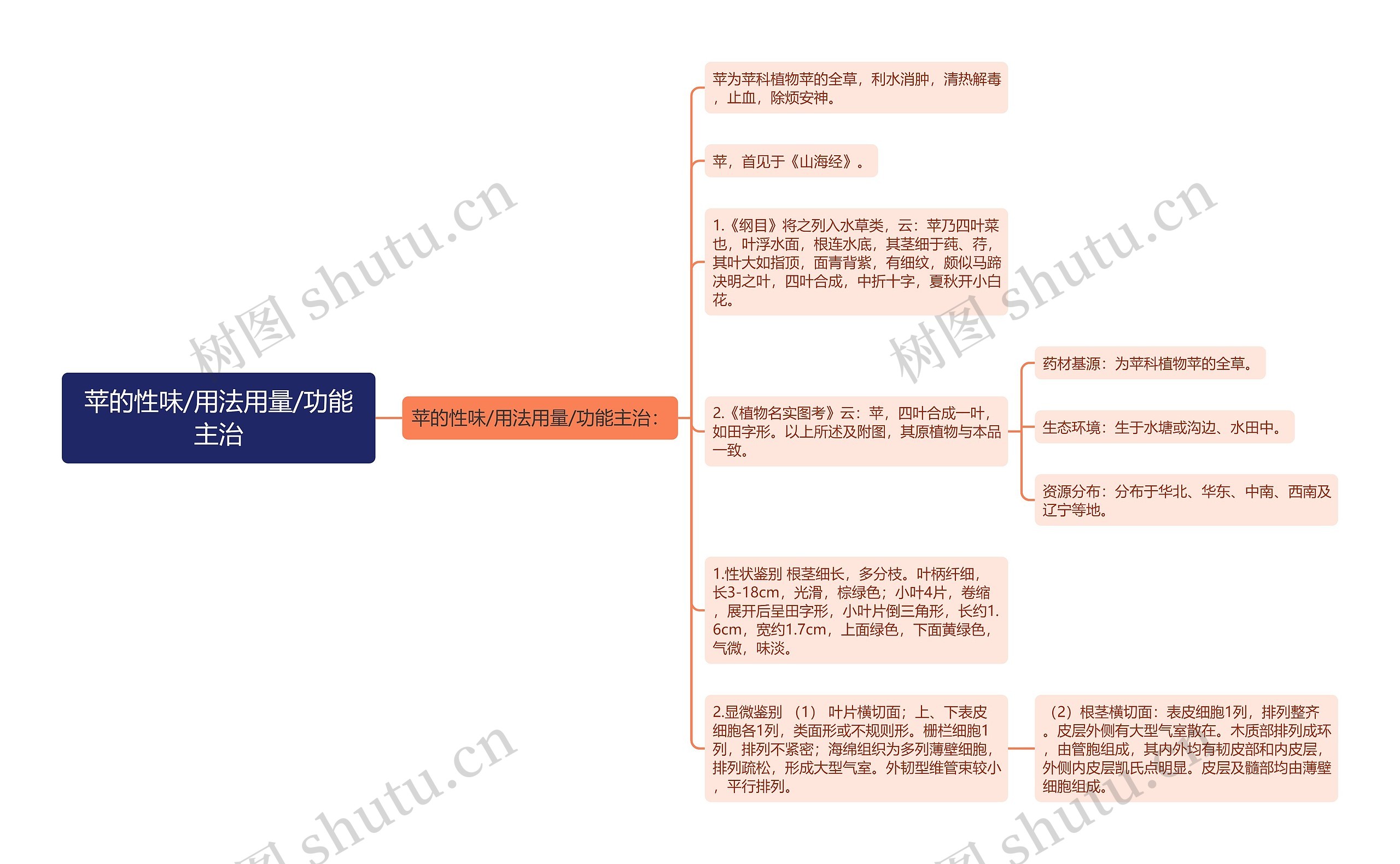 苹的性味/用法用量/功能主治思维导图