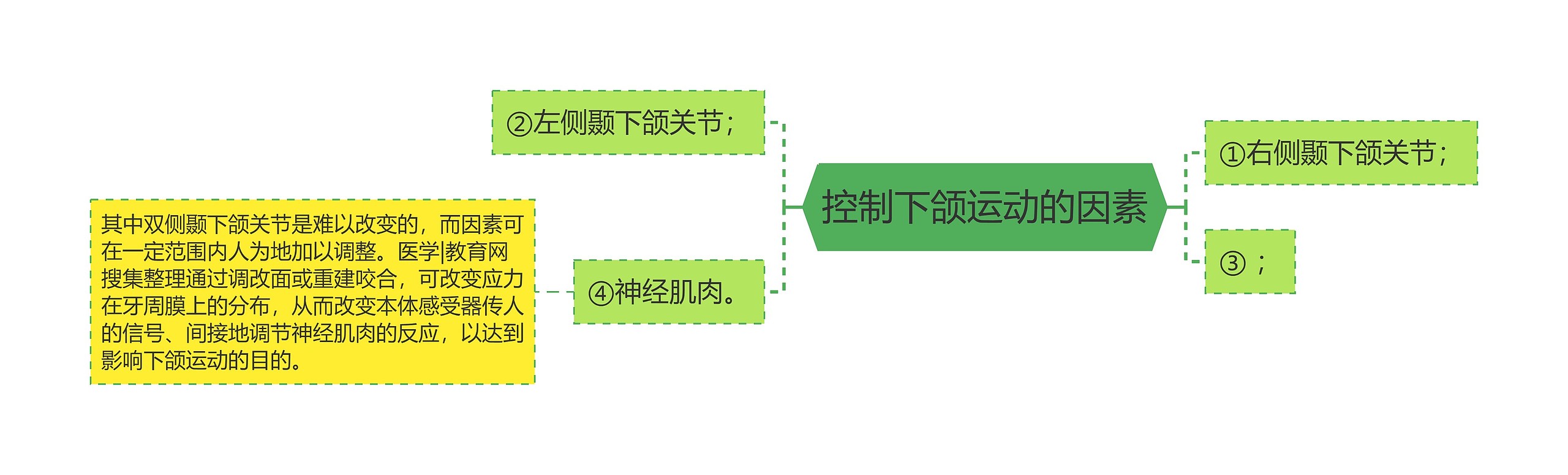 控制下颌运动的因素