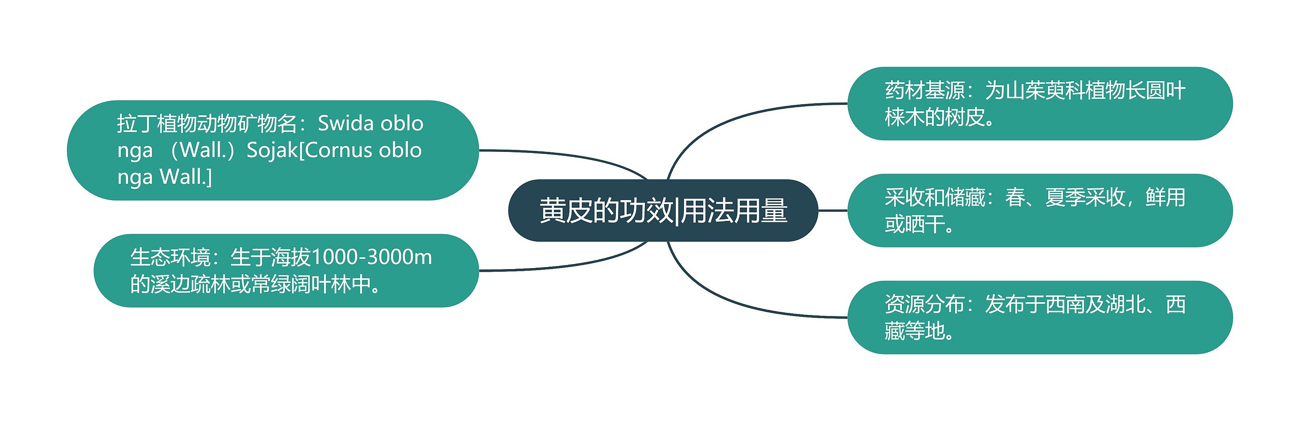 黄皮的功效|用法用量 黄皮的功效|用法用量