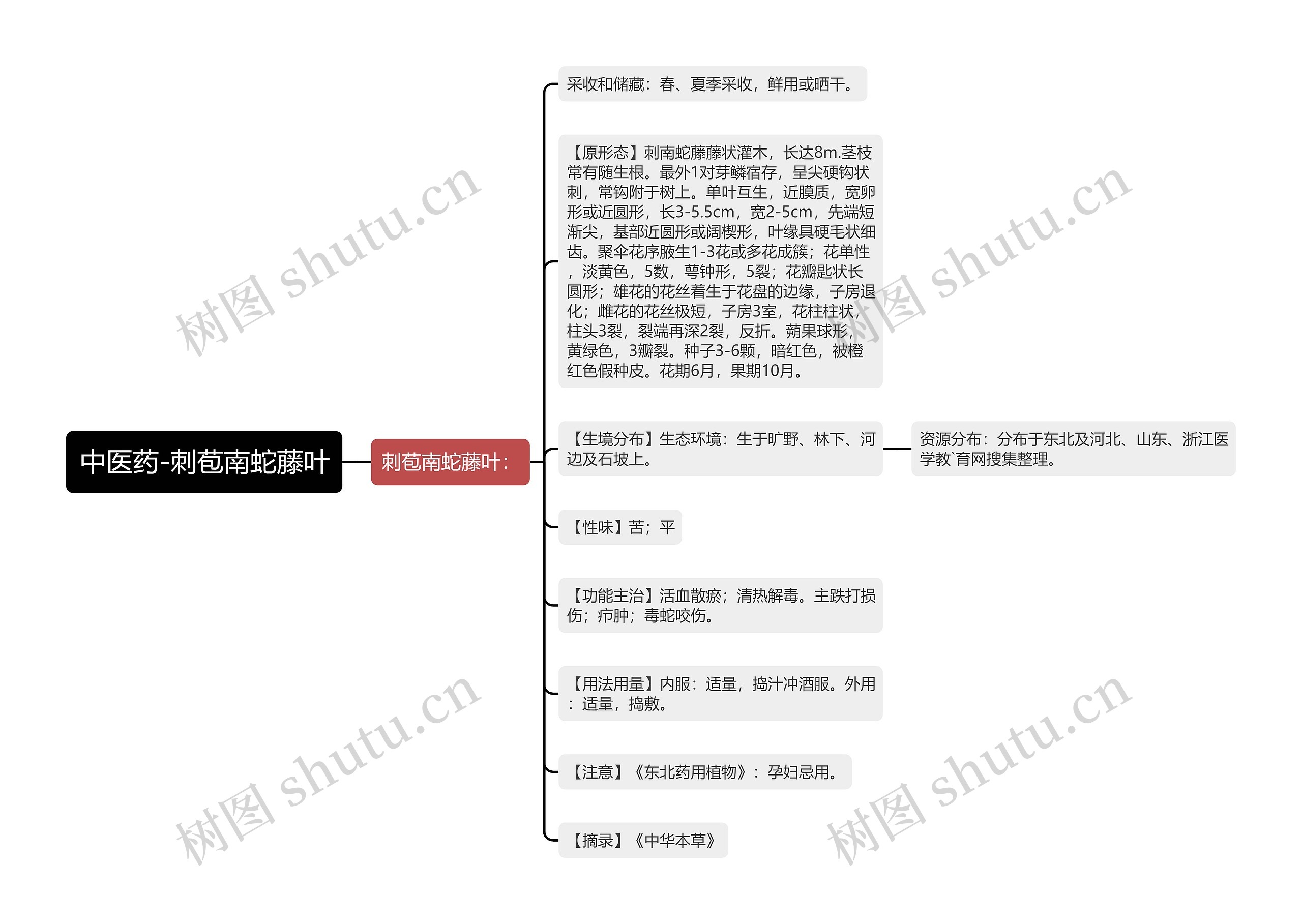 中医药-刺苞南蛇藤叶思维导图