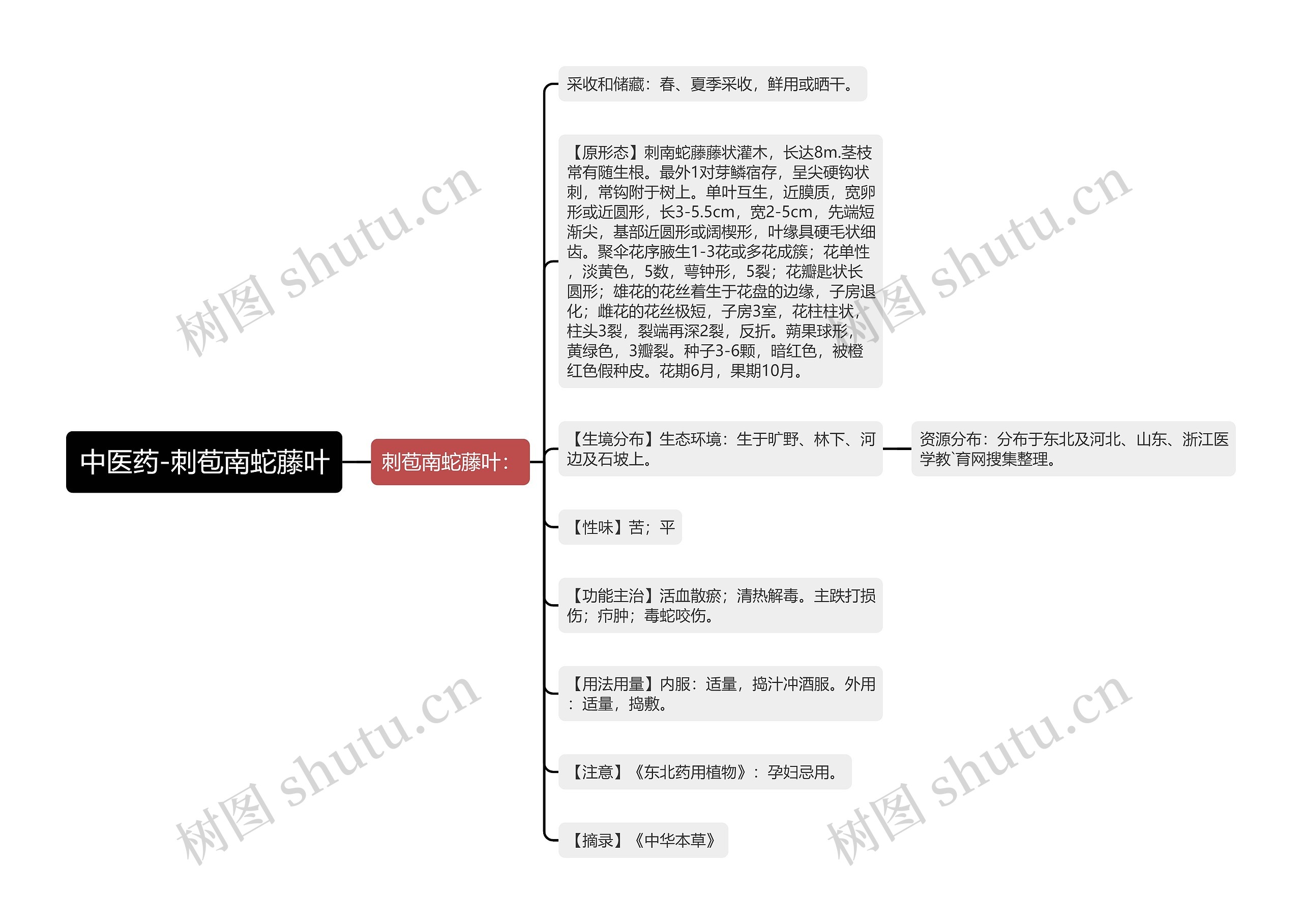 中医药-刺苞南蛇藤叶 中医药-刺苞南蛇藤叶