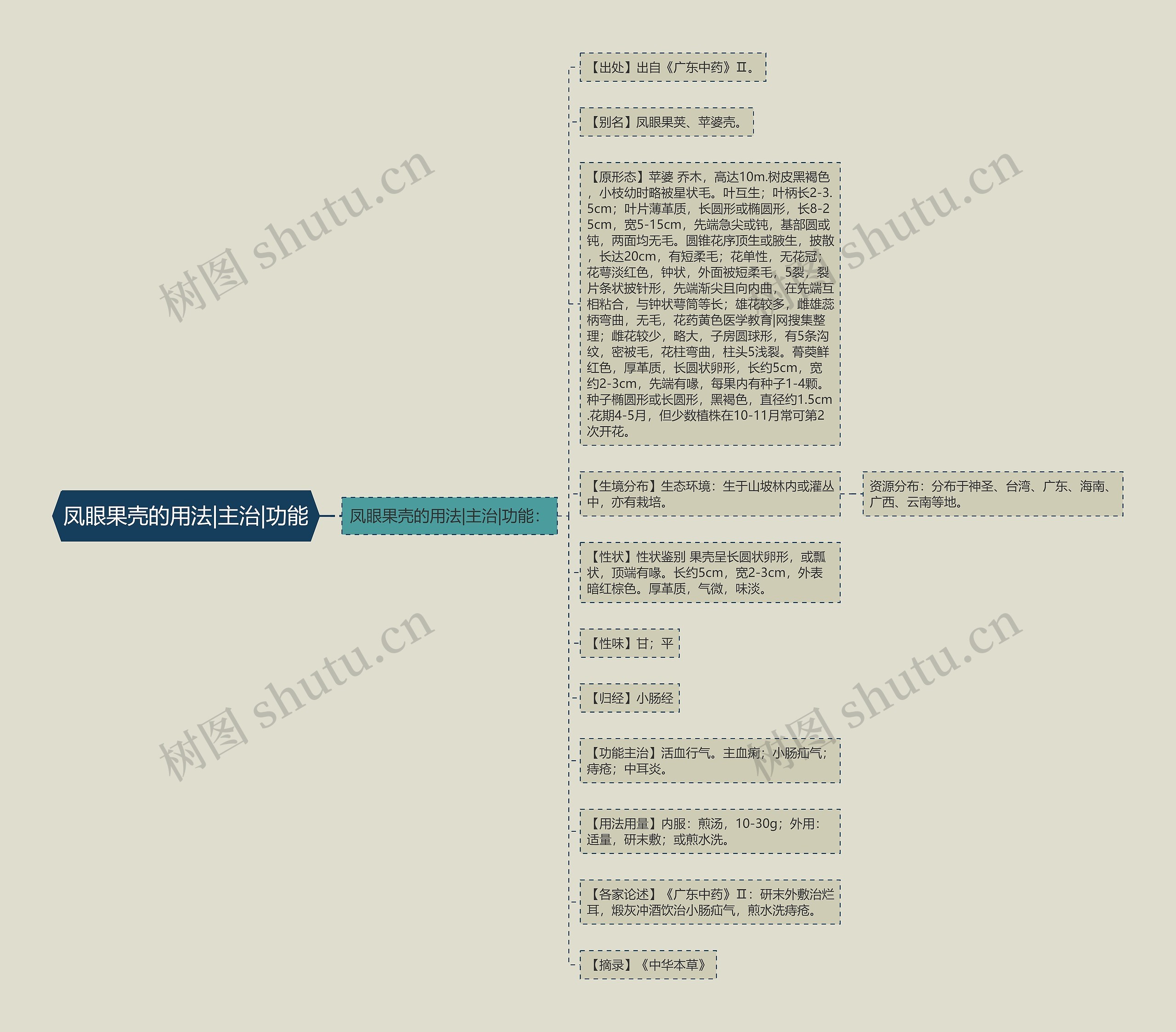 凤眼果壳的用法|主治|功能思维导图