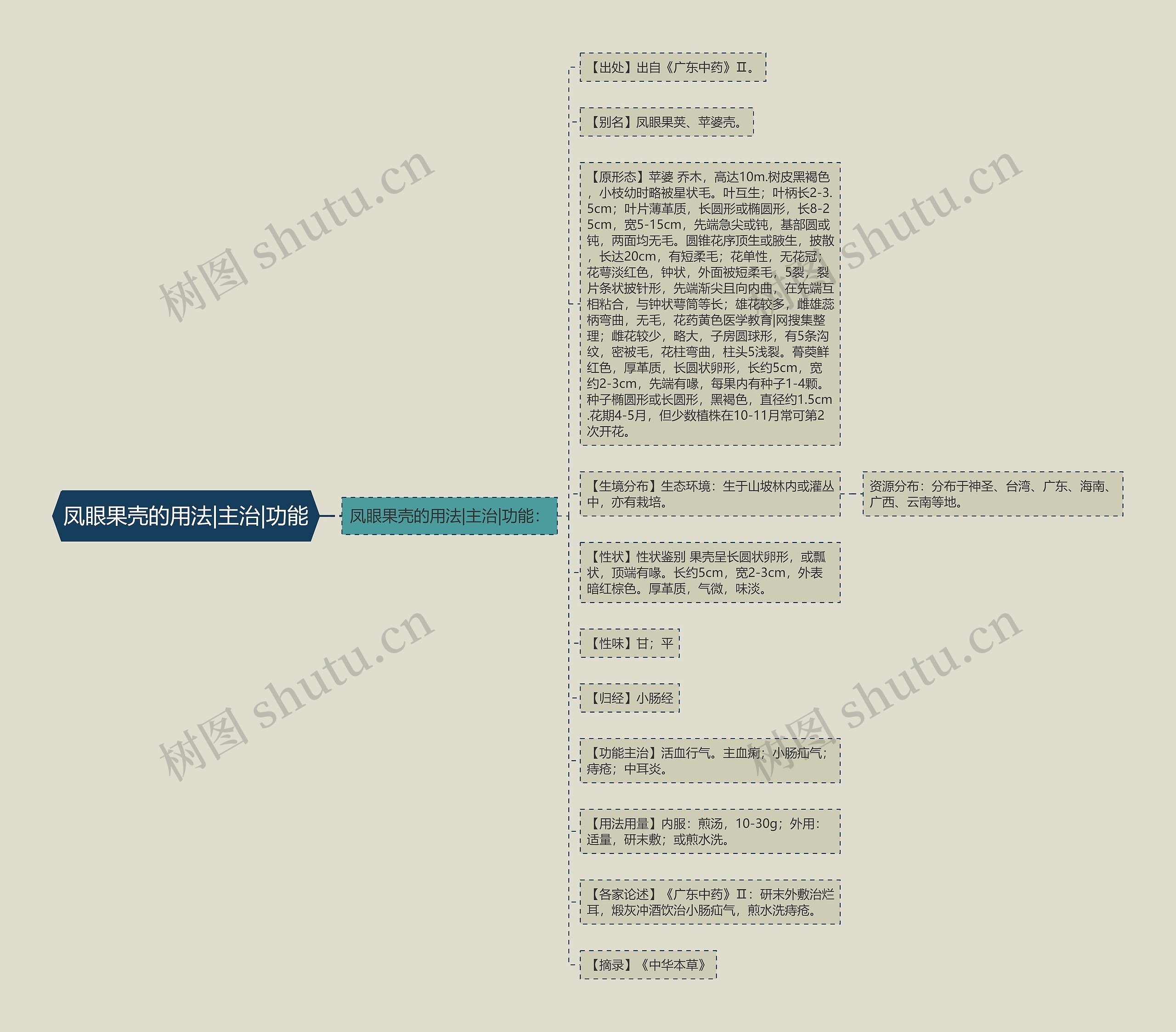 凤眼果壳的用法|主治|功能 凤眼果壳的用法|主治|功能