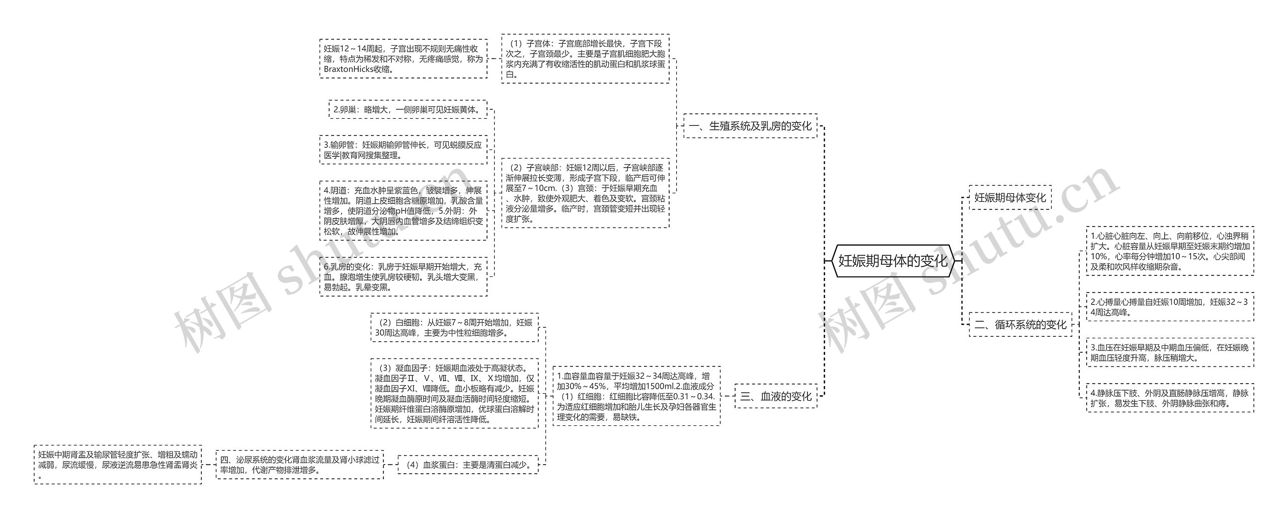 妊娠期母体的变化 妊娠期母体的变化
