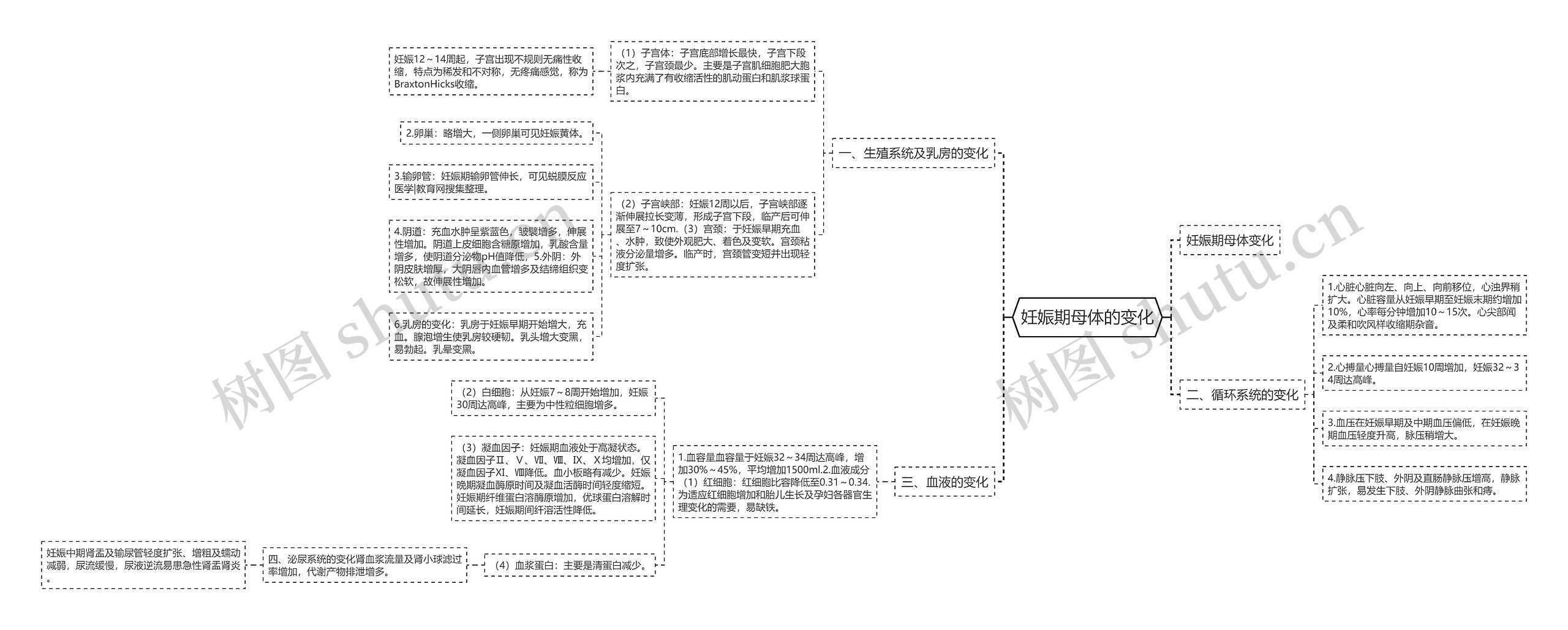 妊娠期母体的变化思维导图