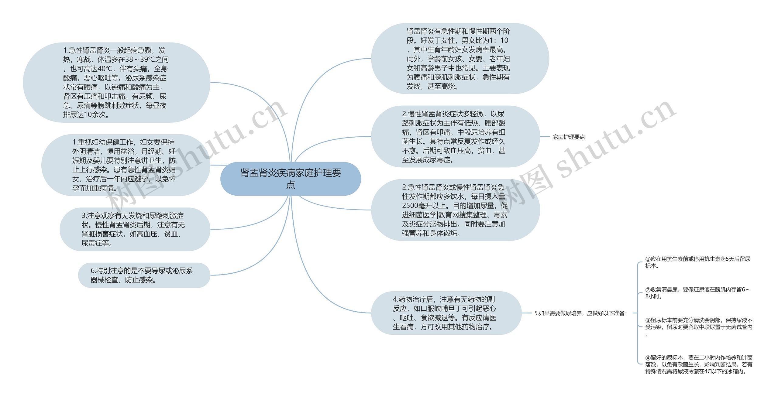 肾盂肾炎疾病家庭护理要点思维导图