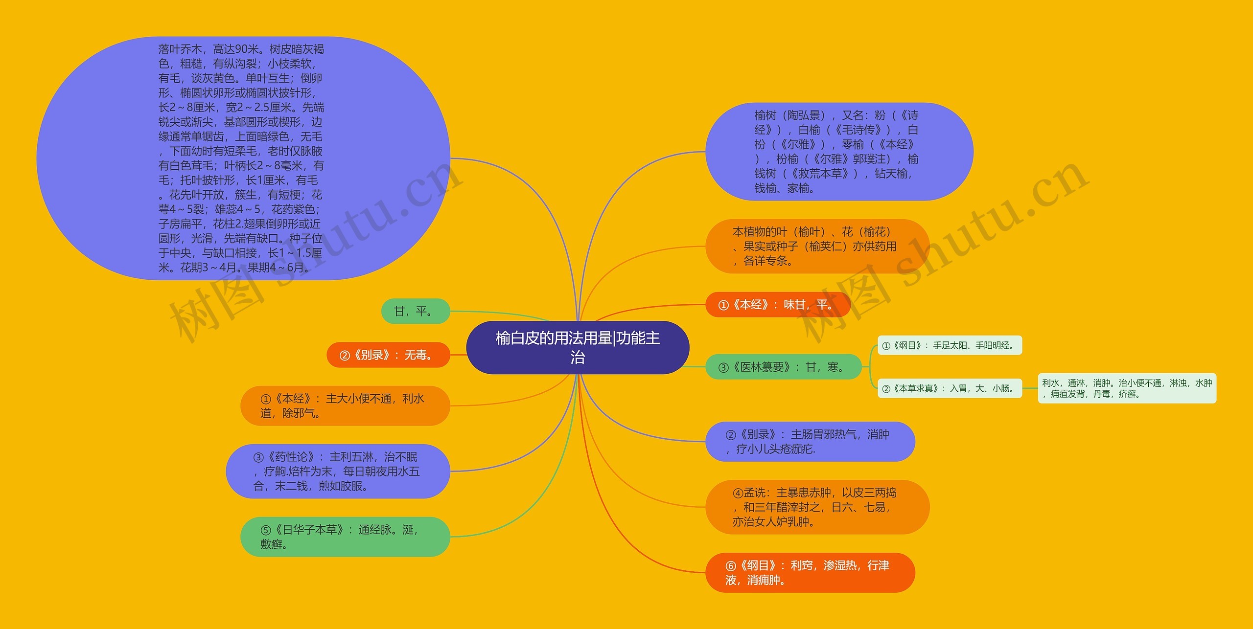 榆白皮的用法用量|功能主治思维导图