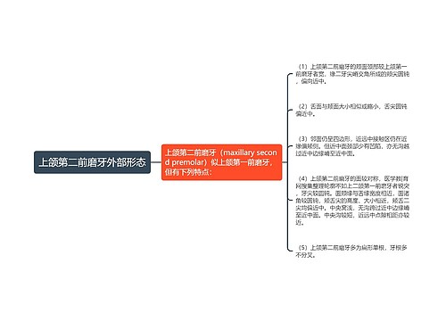 上颌第二前磨牙外部形态