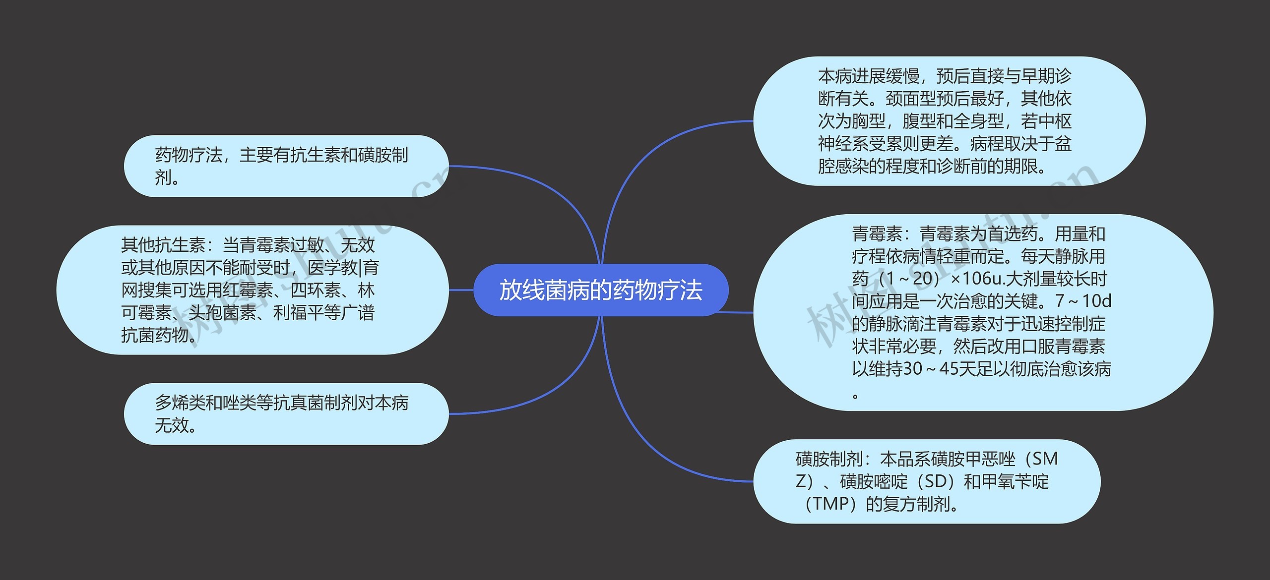 放线菌病的药物疗法思维导图