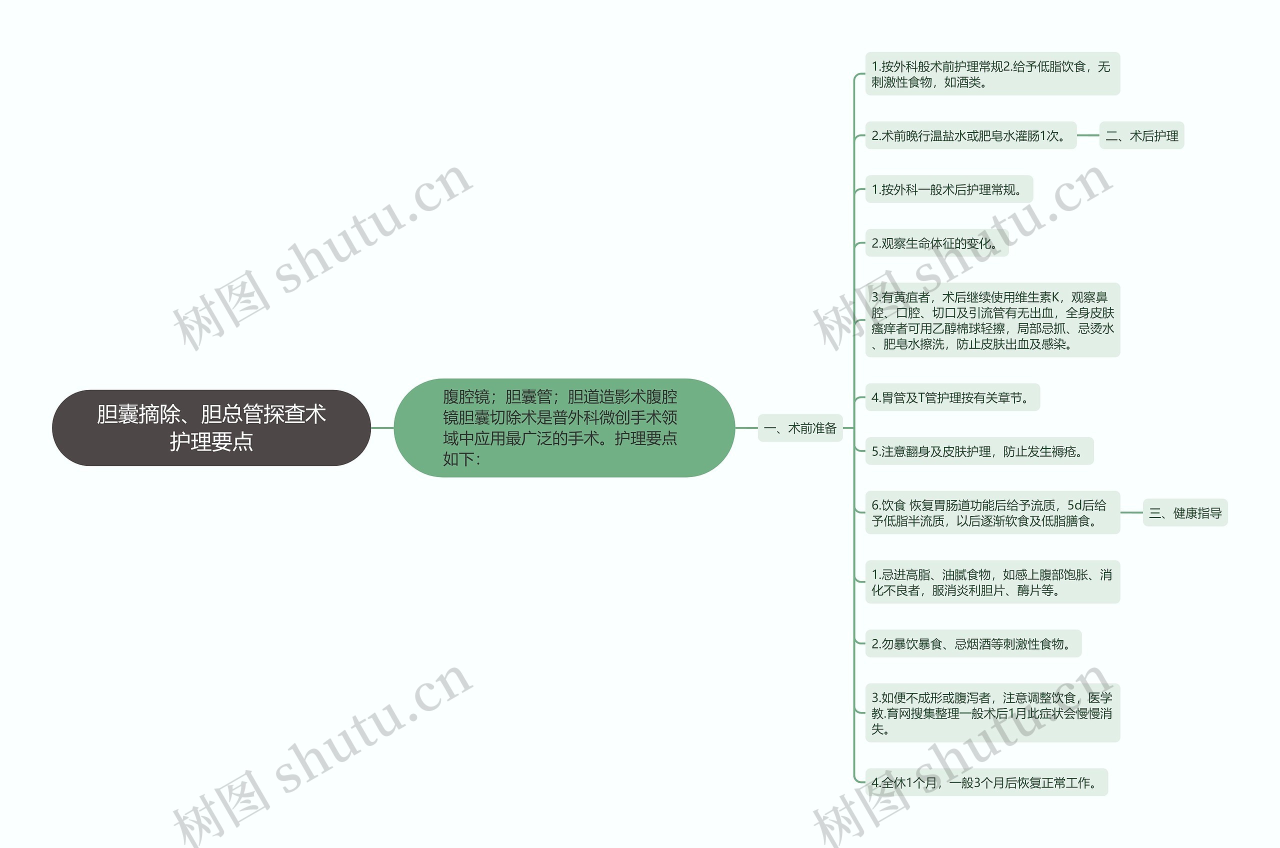 胆囊摘除、胆总管探查术护理要点思维导图