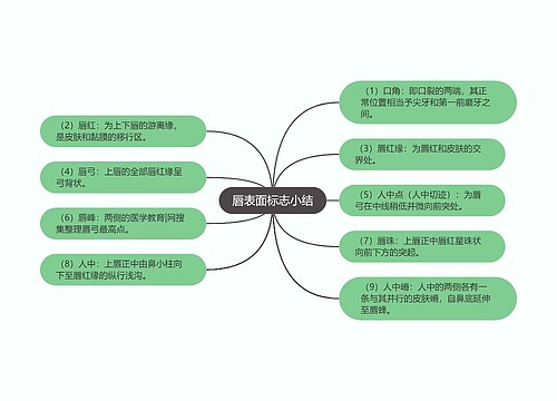 唇表面标志小结