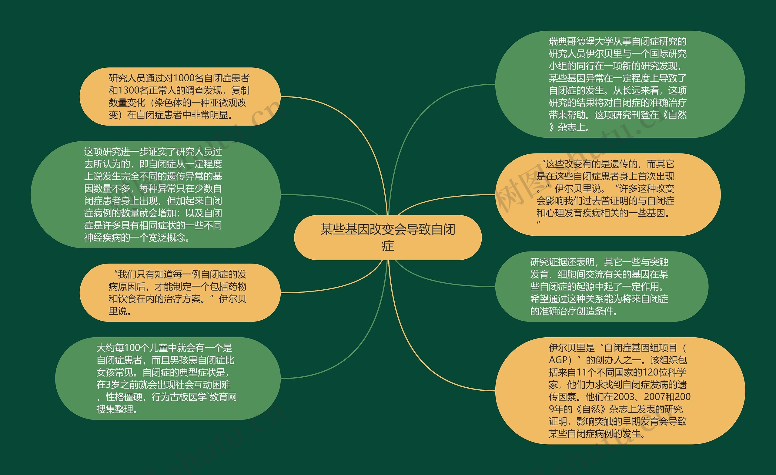 某些基因改变会导致自闭症思维导图