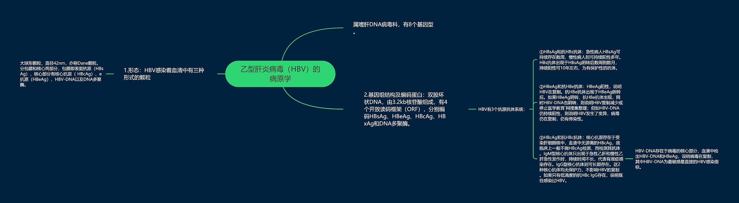 乙型肝炎病毒（HBV）的病原学