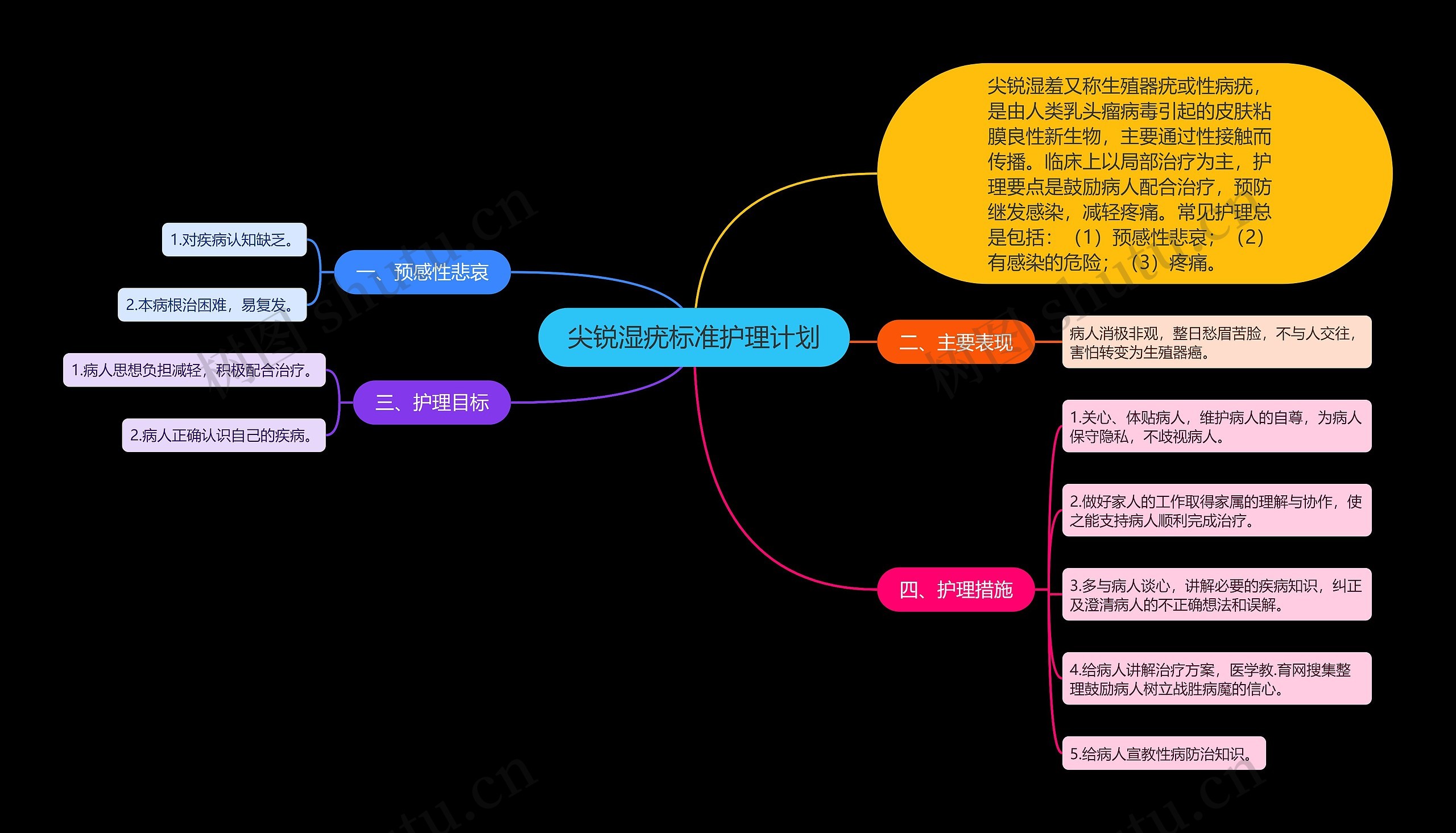 尖锐湿疣标准护理计划思维导图