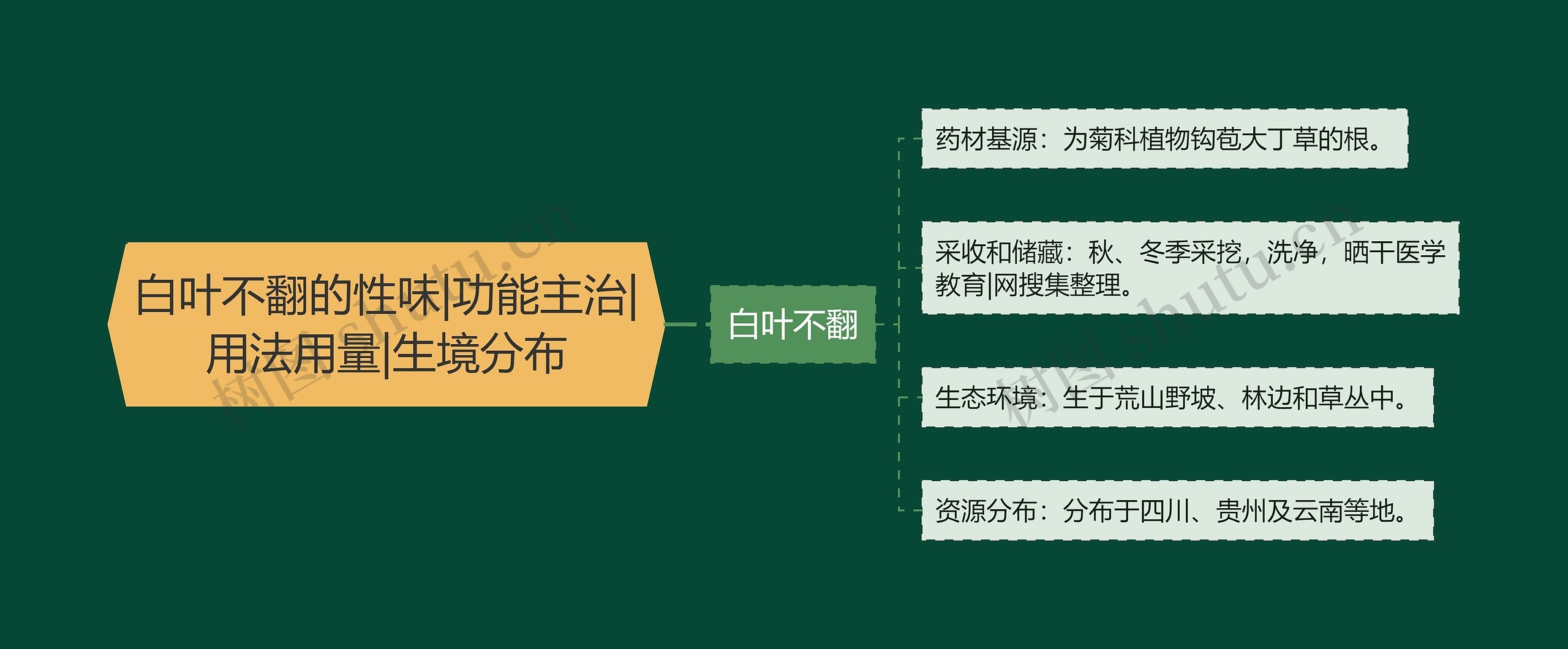 白叶不翻的性味|功能主治|用法用量|生境分布思维导图