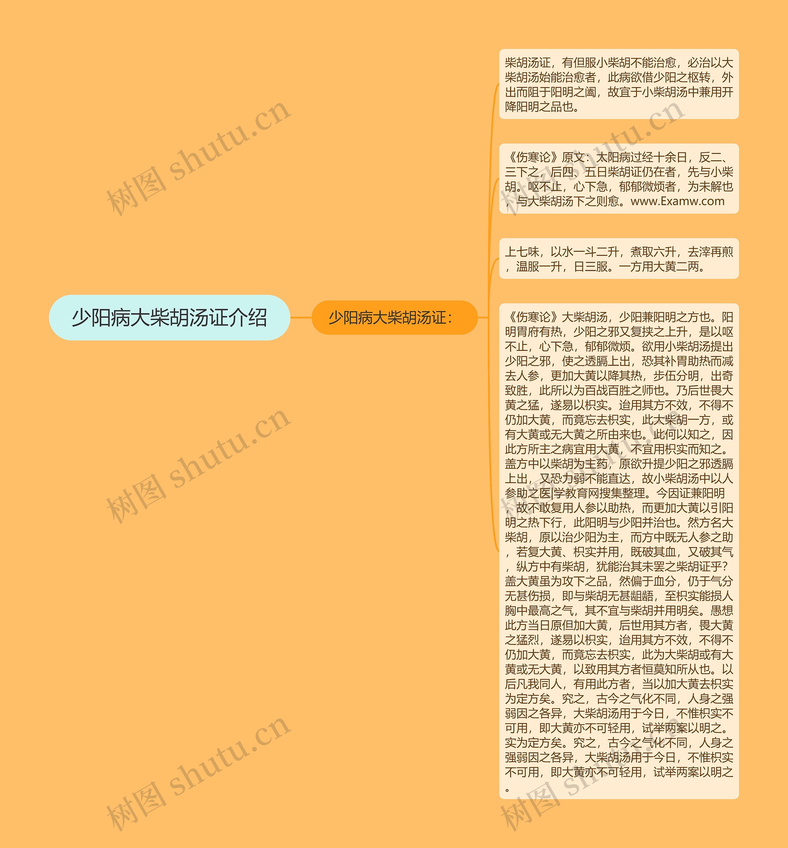 少阳病大柴胡汤证介绍 少阳病大柴胡汤证介绍